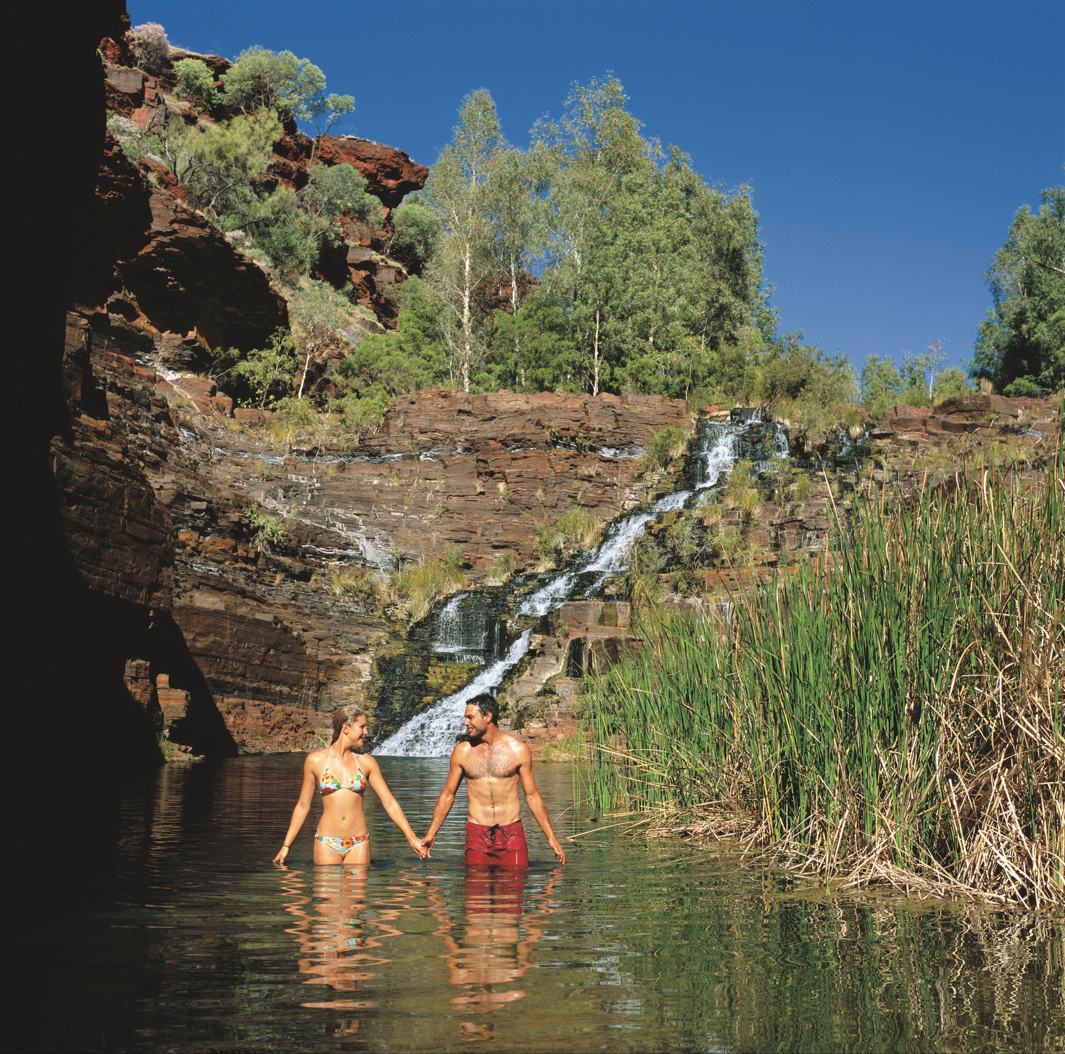 Fortescue Falls - Geraldton Accommodation