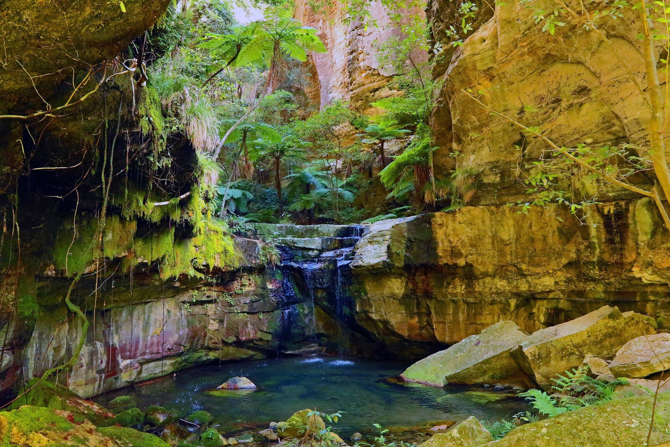 Glimpse of the Outback 5 Day Tour - Roma and Surrounds - Attractions Sydney