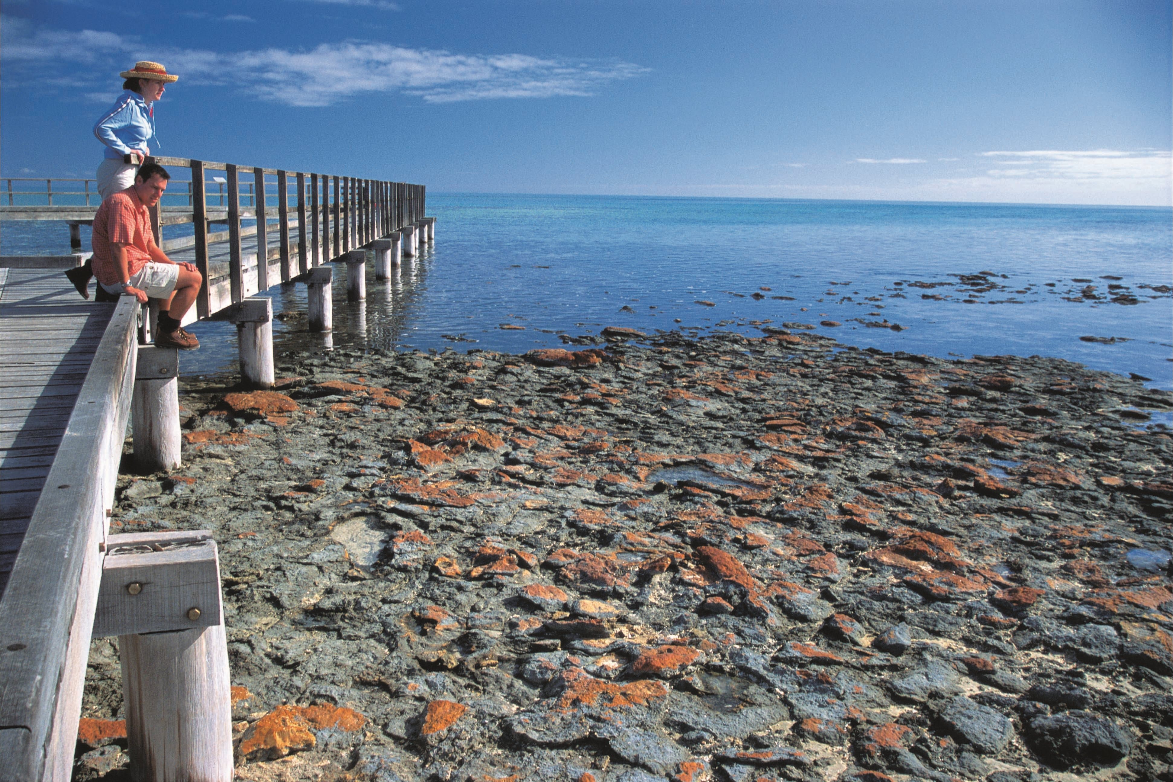 Hamelin Pool Stromatolites - Attractions Melbourne