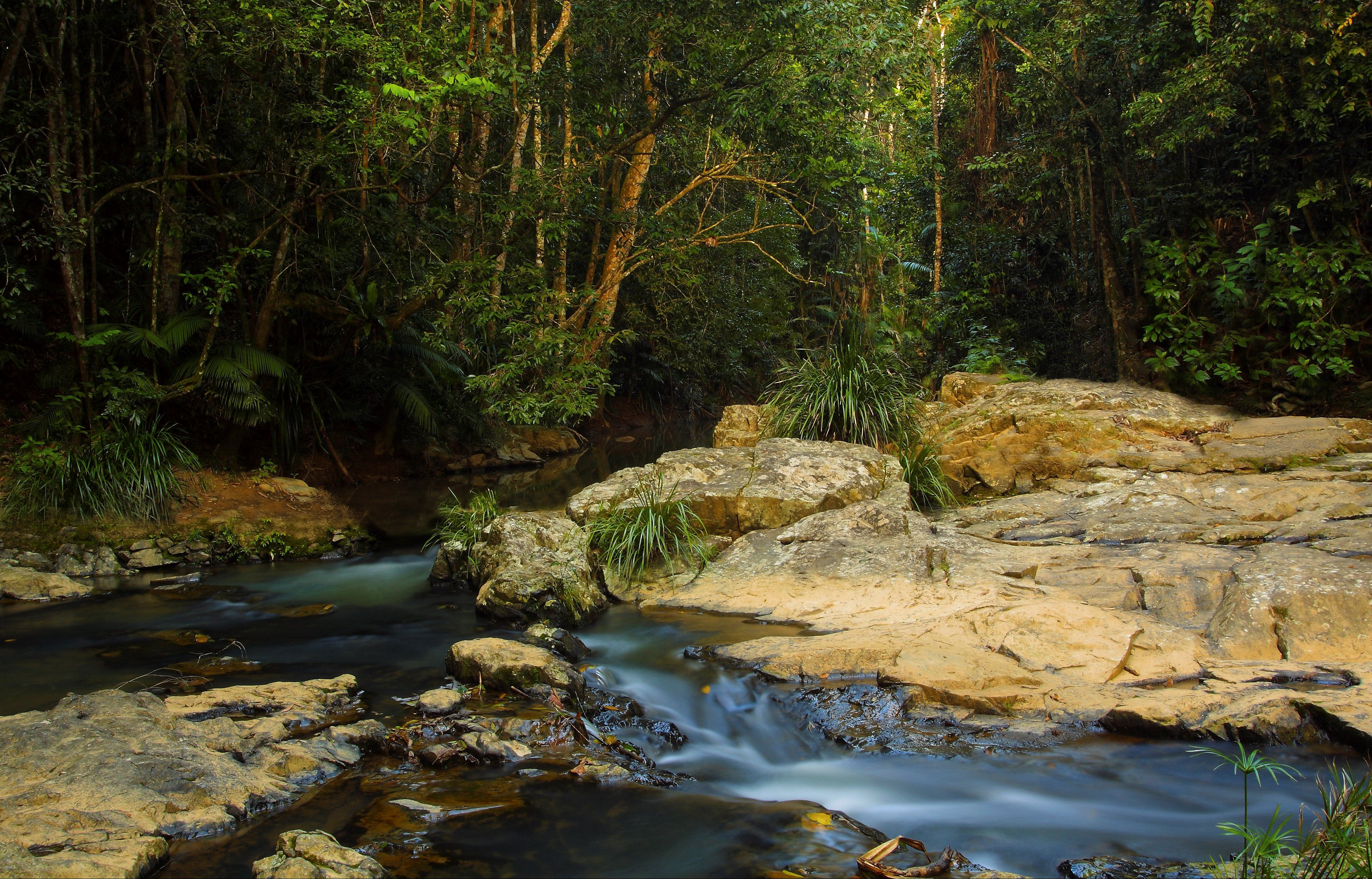 Jumrum Creek Walk Jumrum Creek Conservation Park - Broome Tourism