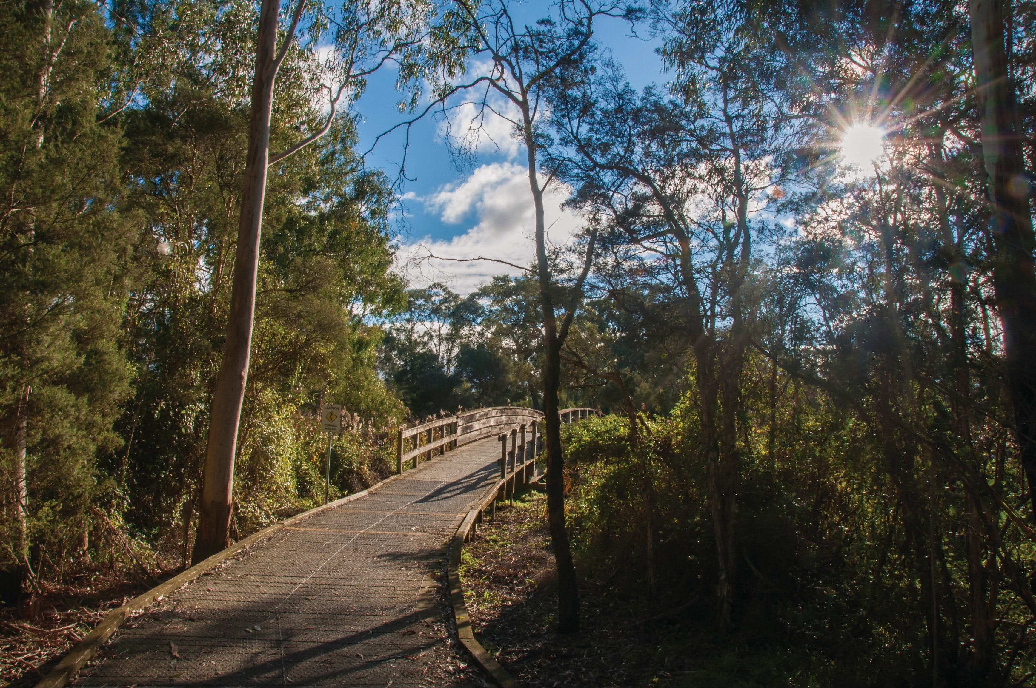 Koomba Park - New South Wales Tourism 