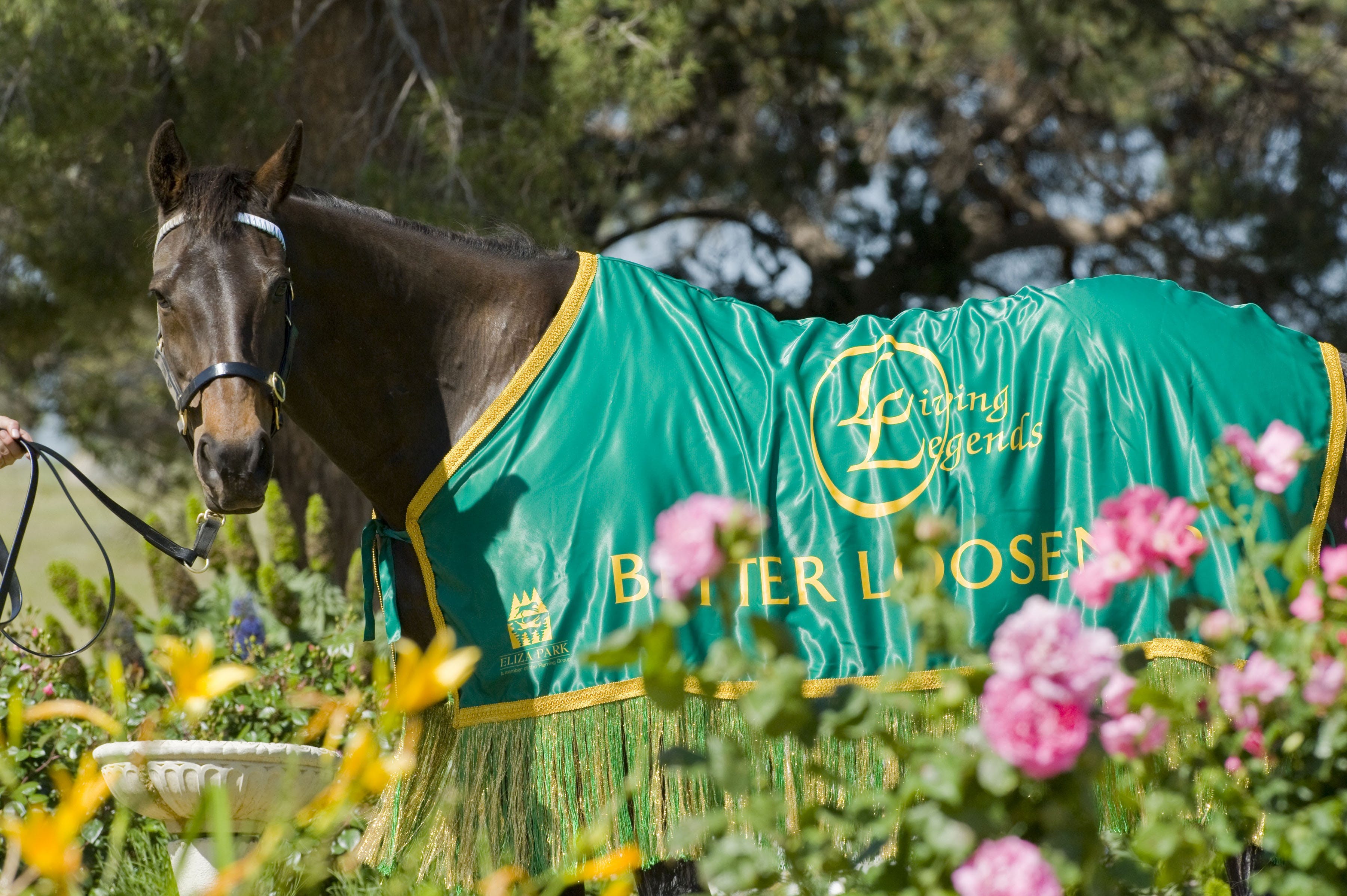Living Legends The International Home of Rest for Champion Horses - Victoria Tourism