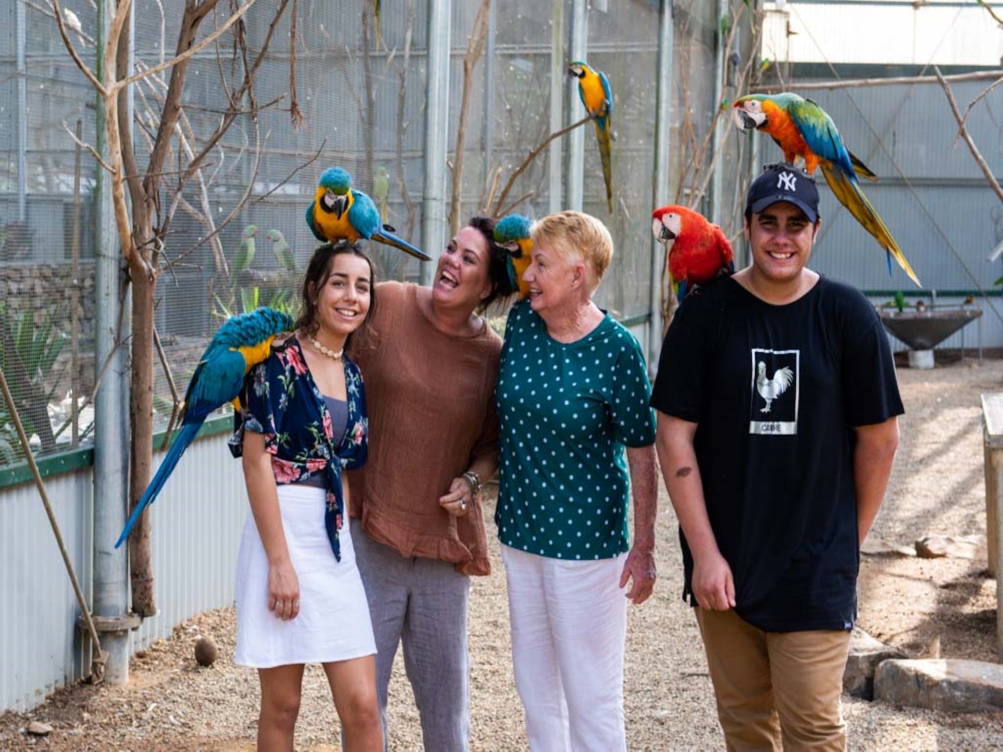 Maleny Botanic Gardens and Bird World - Geraldton Accommodation