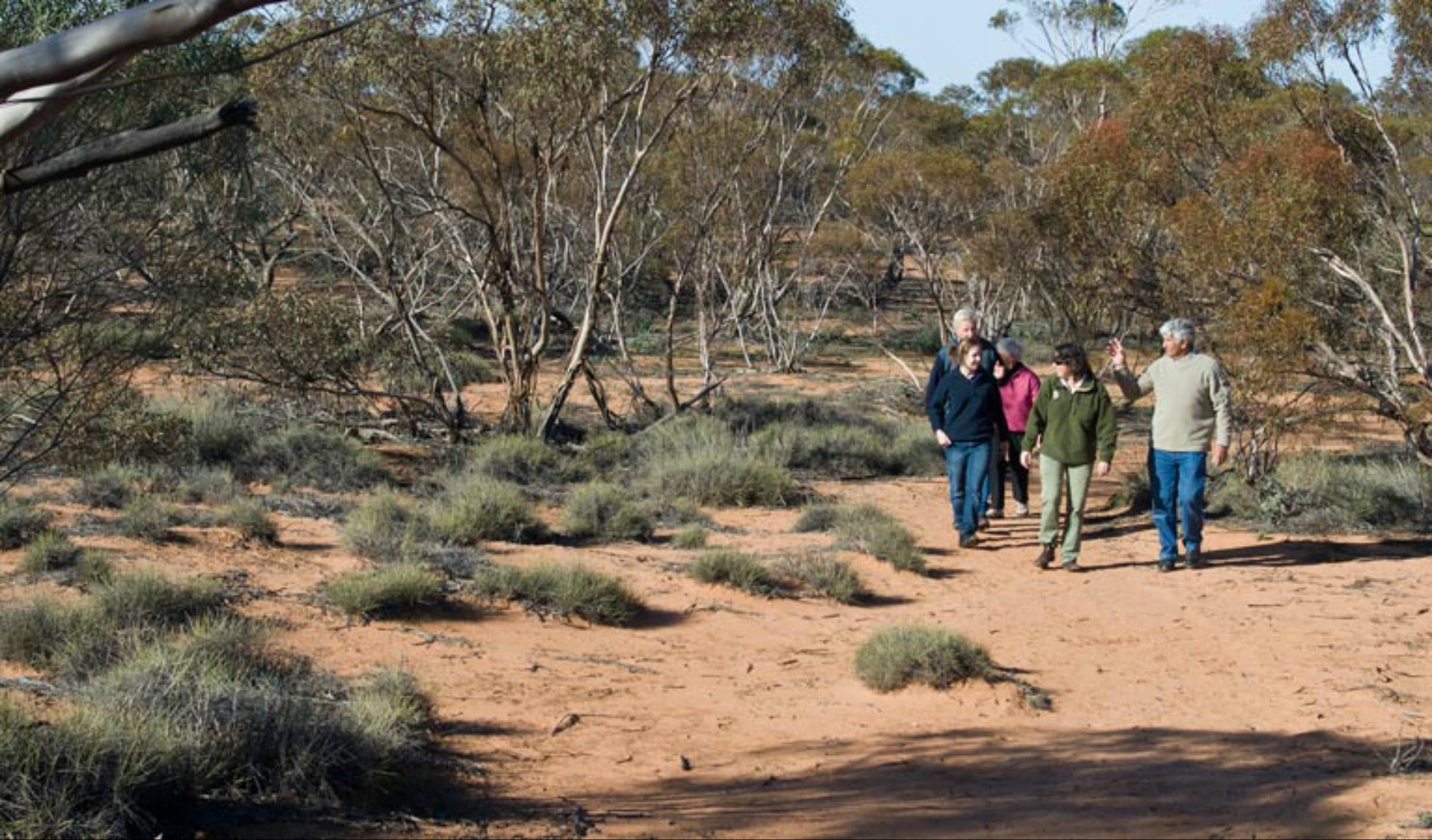 Mallee Stop walking track - Find Attractions