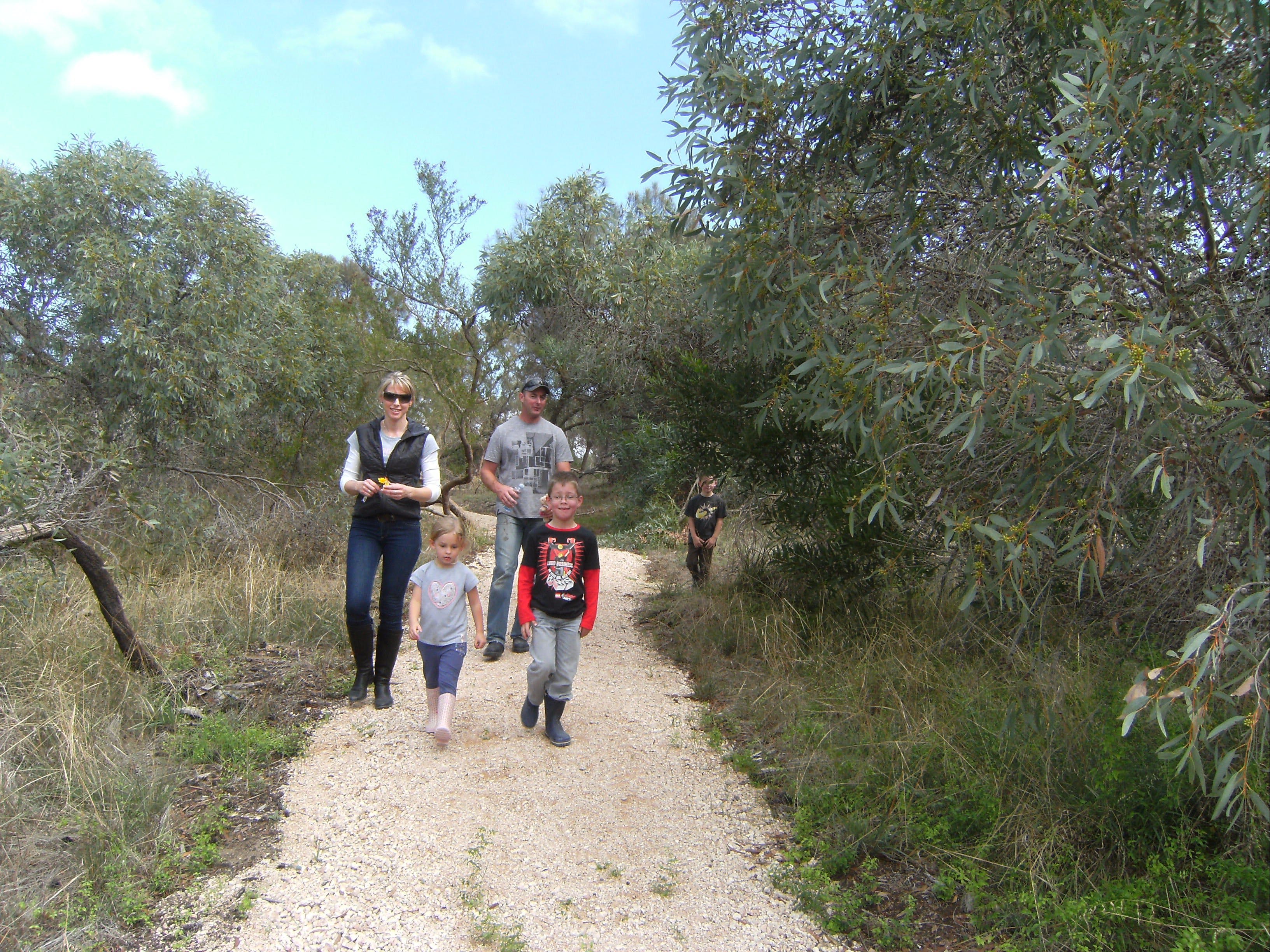 Meningie Lions Walking Trail - Redcliffe Tourism