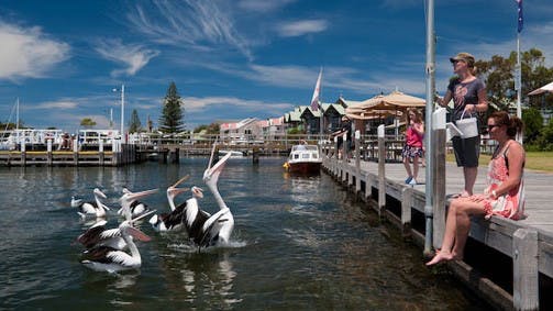 Metung - New South Wales Tourism 