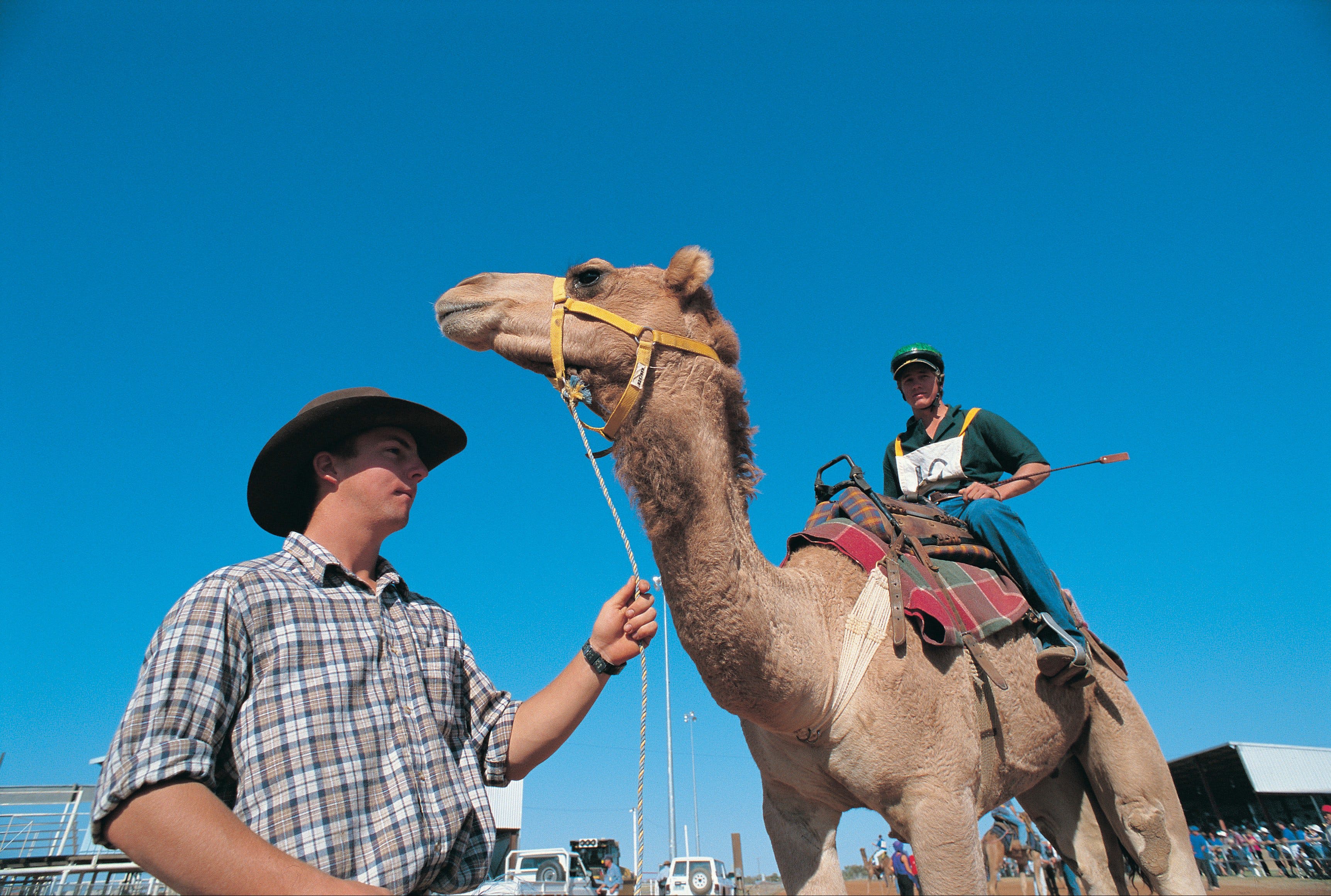 Outback Camel Festival Trail - thumb 1