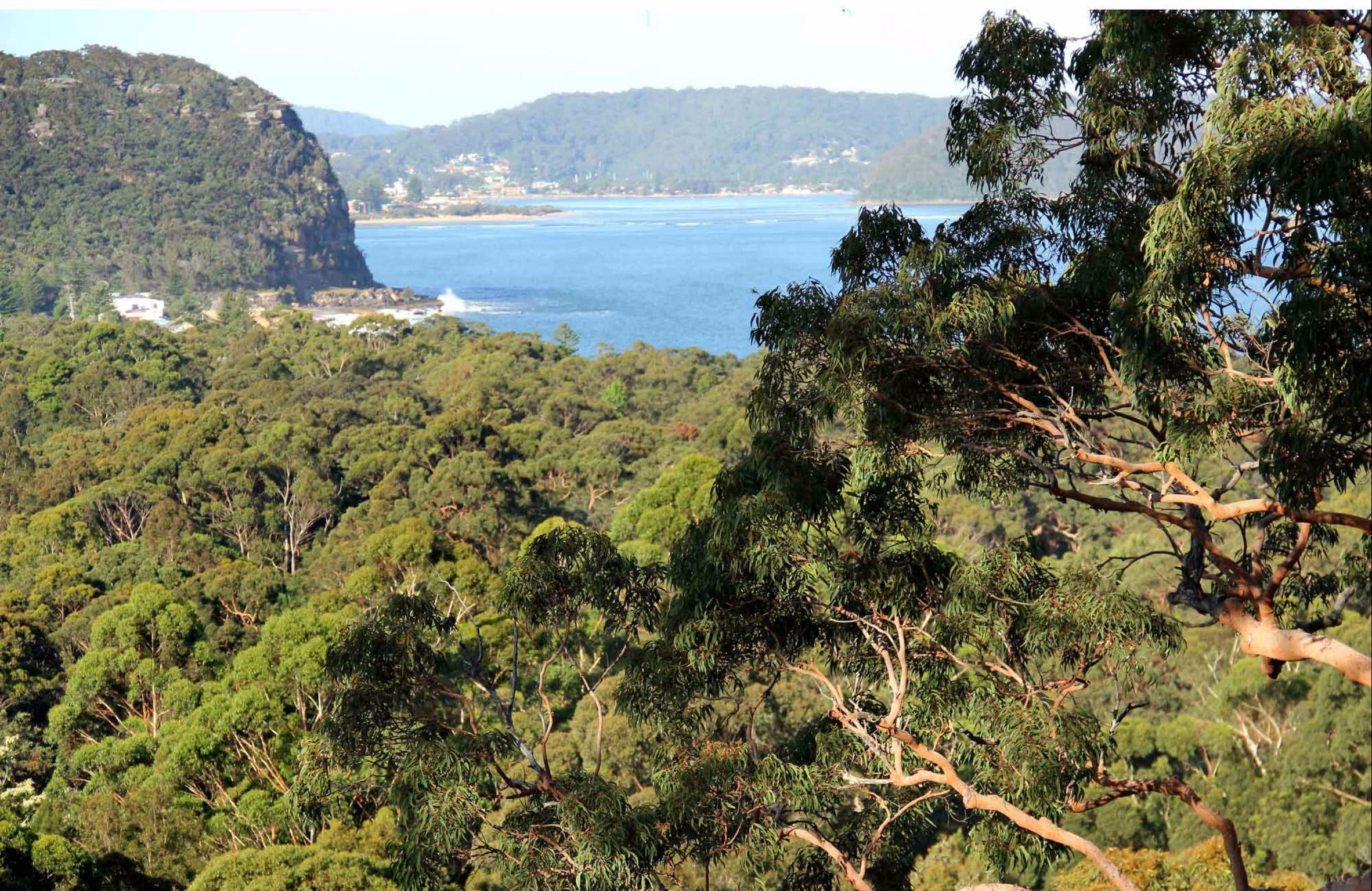 Patonga to Pearl Beach Walking Track - Find Attractions