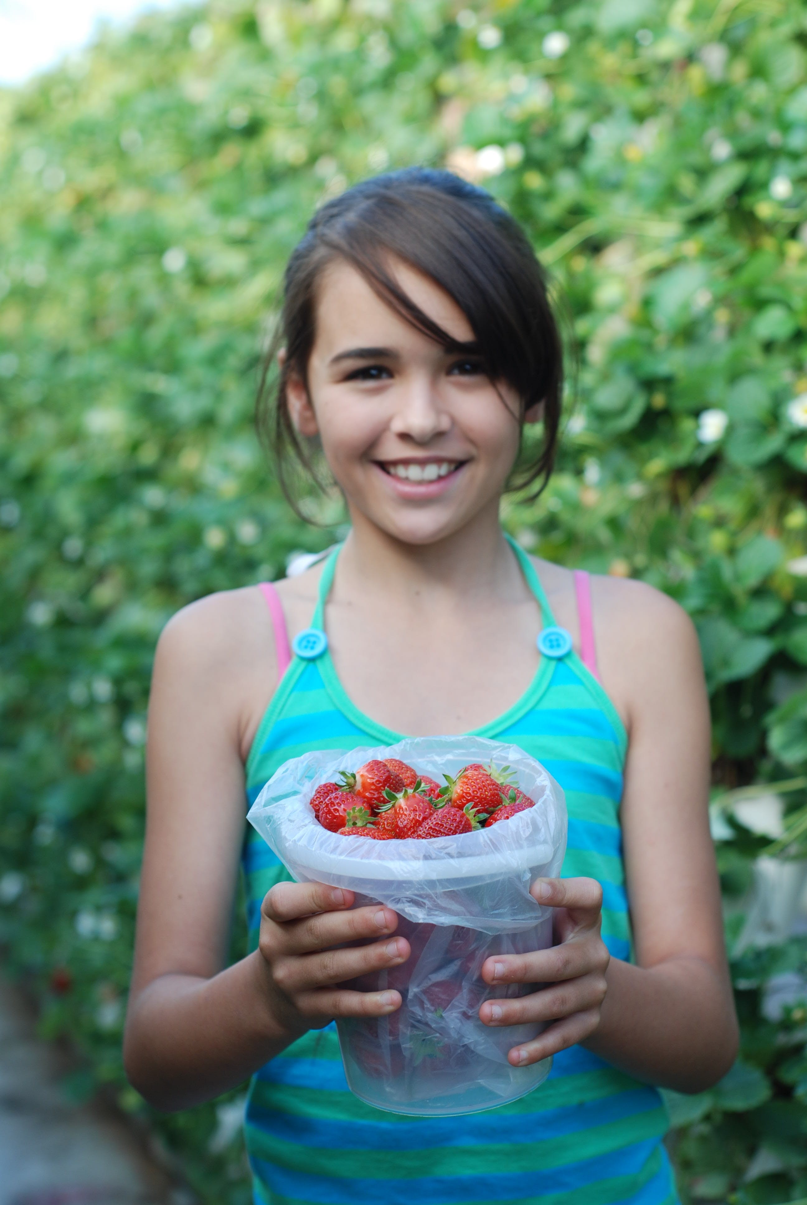 Ricardoes Tomatoes And Strawberries Farm, Port Macquarie - thumb 0