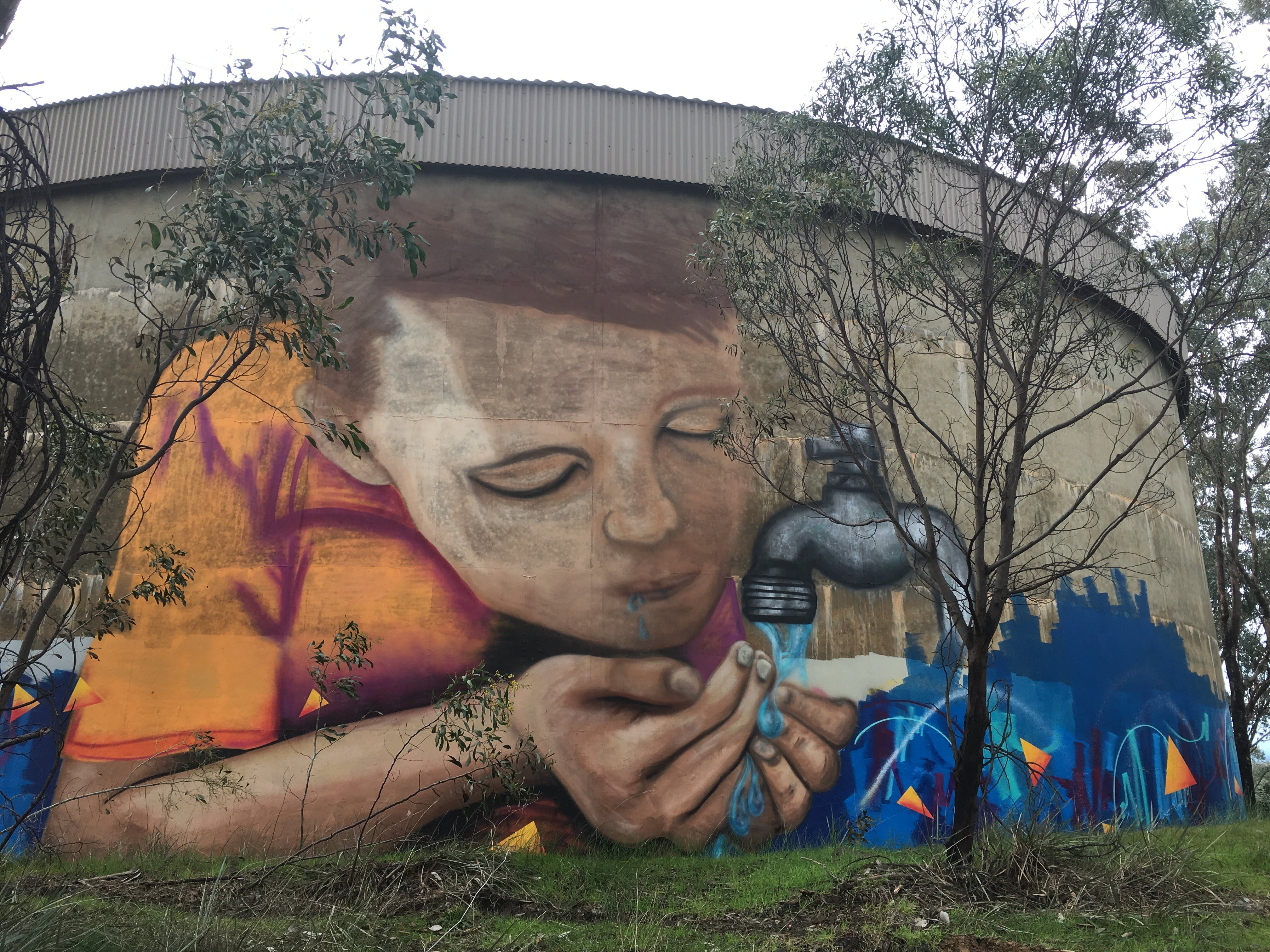 Willans Hill Water Tower Mural - thumb 1