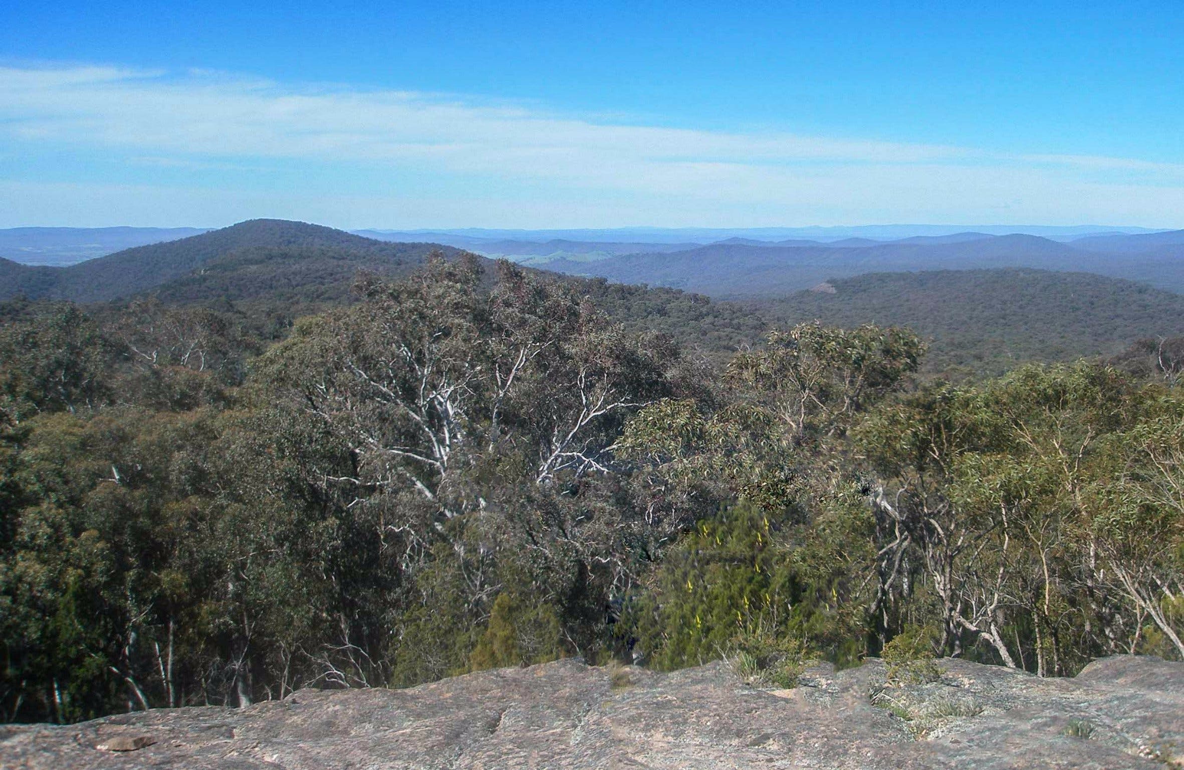 Woomargama National Park - New South Wales Tourism 