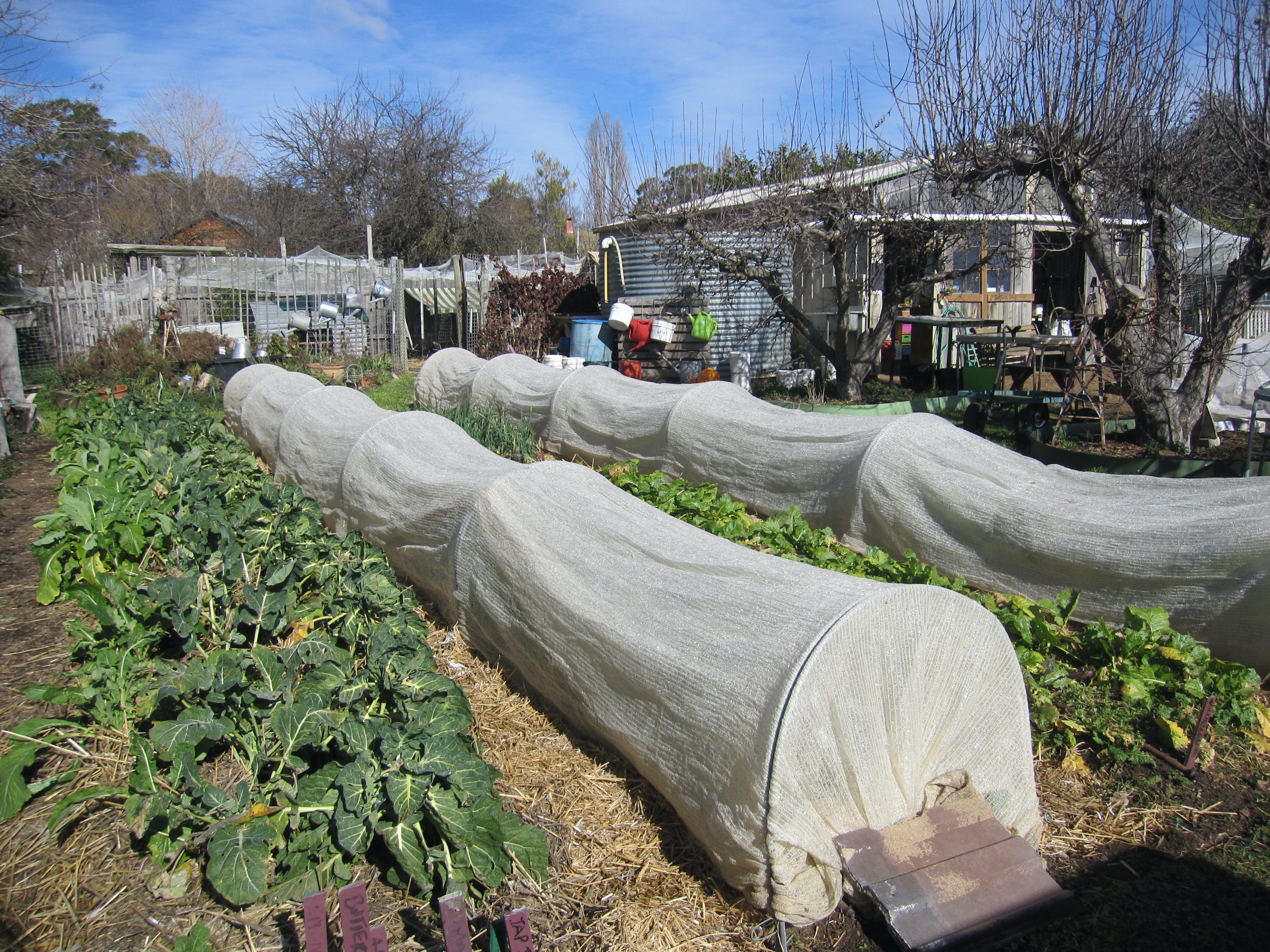 Wynlen House Tour a Unique Urban Regenerative Farm and Market Garden - Accommodation Bookings