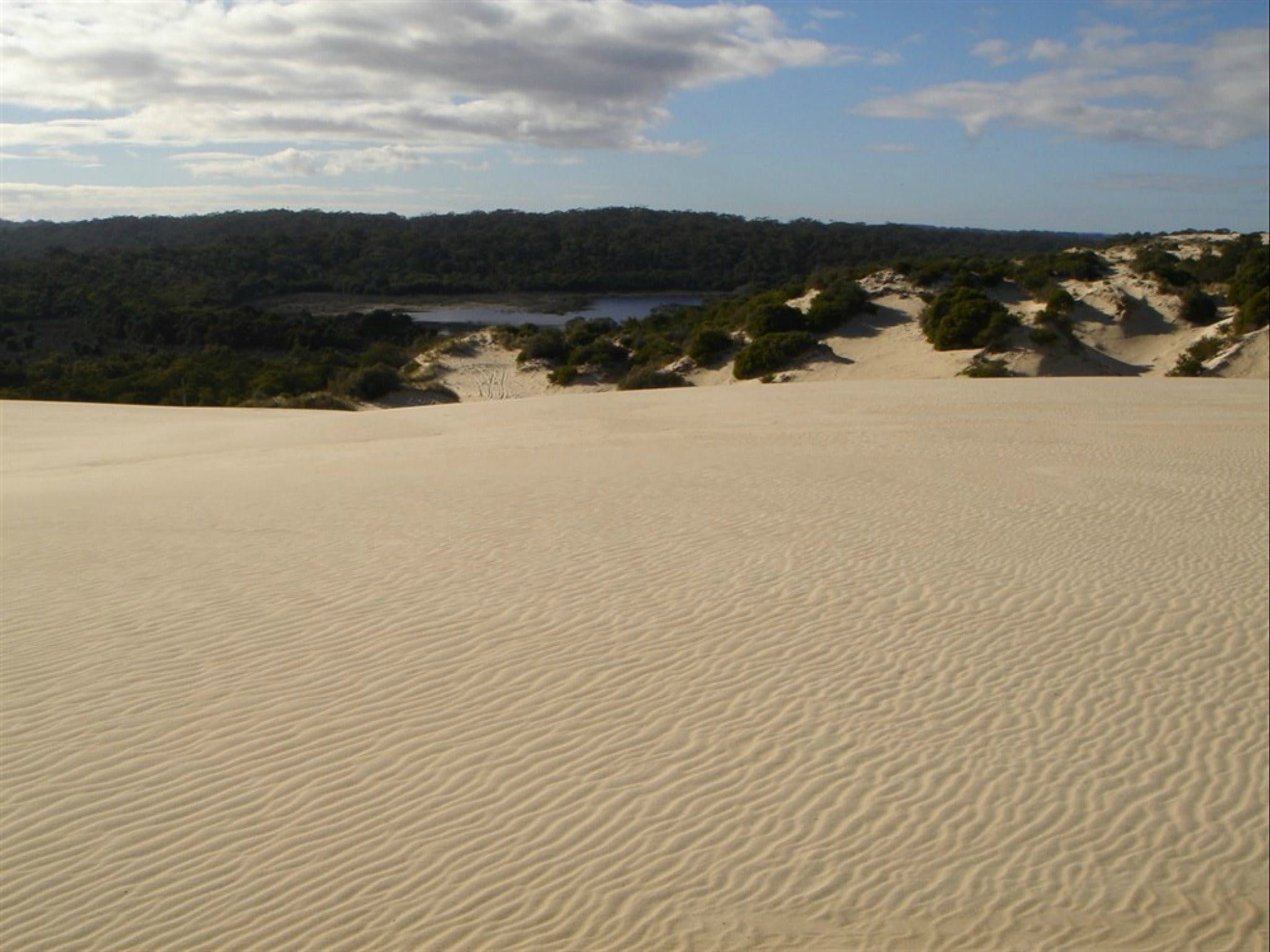 Yeagerup Sand Dunes - Accommodation Nelson Bay