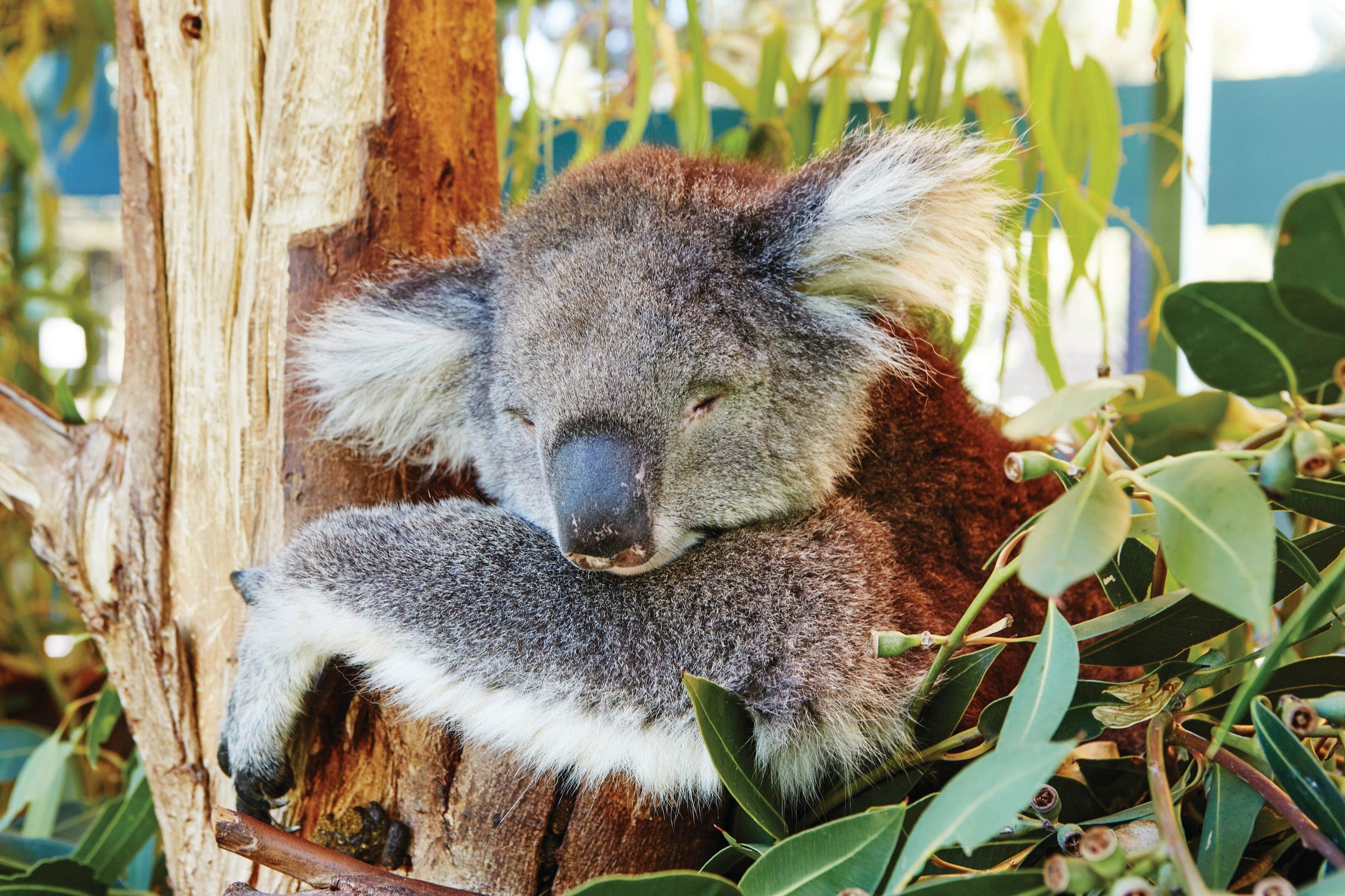 Animals and Family Fun - Kalgoorlie Accommodation