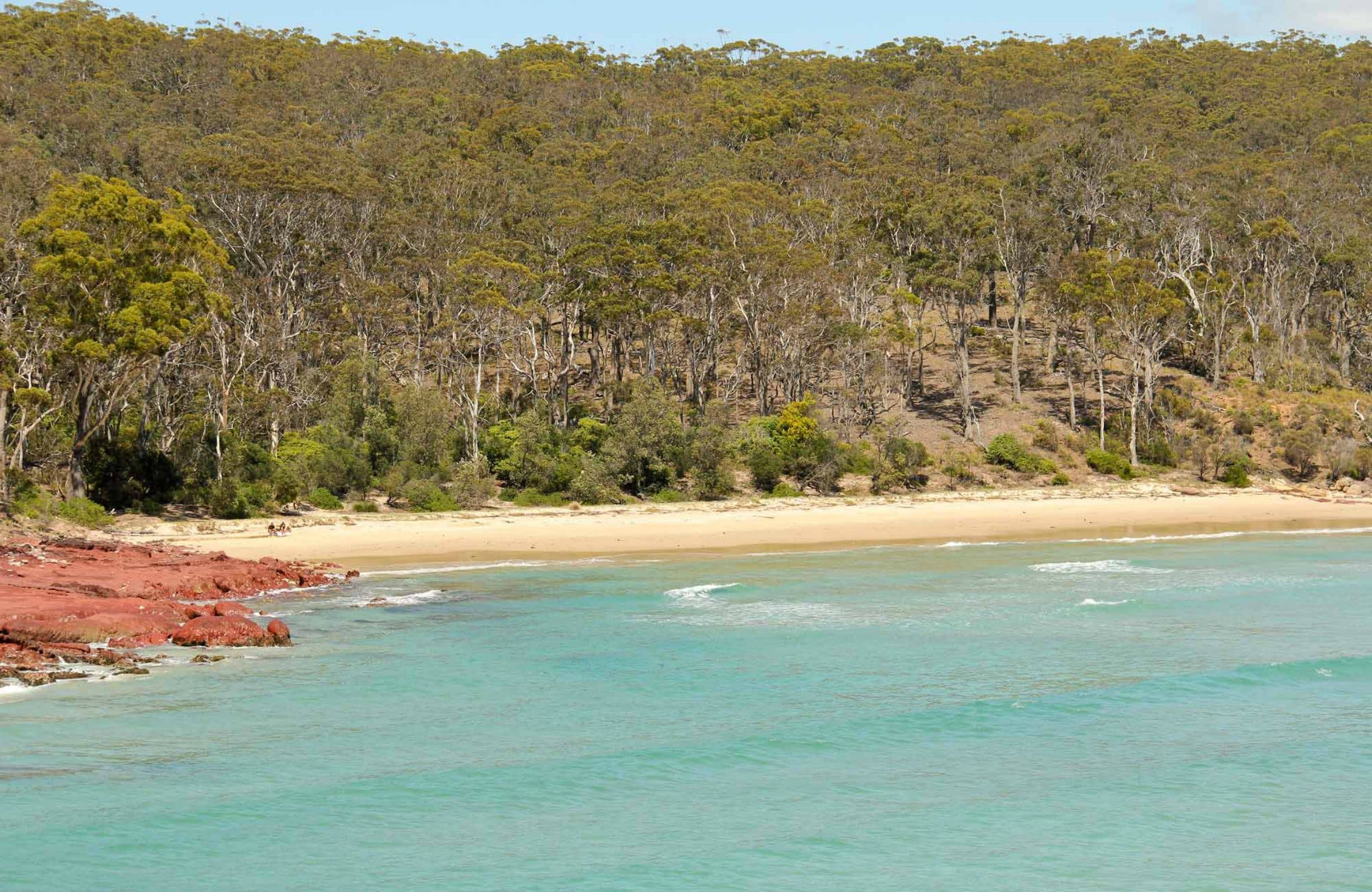 Barmouth Beach - New South Wales Tourism 