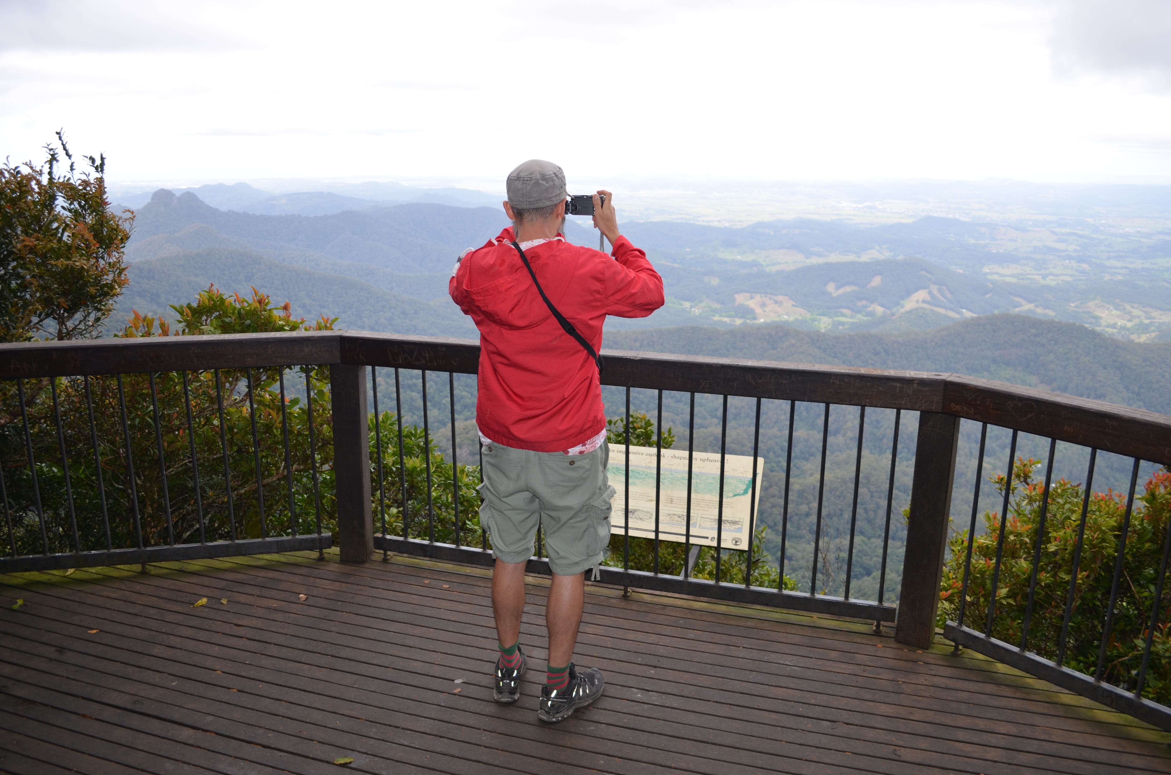 Best of All lookout track Springbrook National Park - Accommodation Noosa