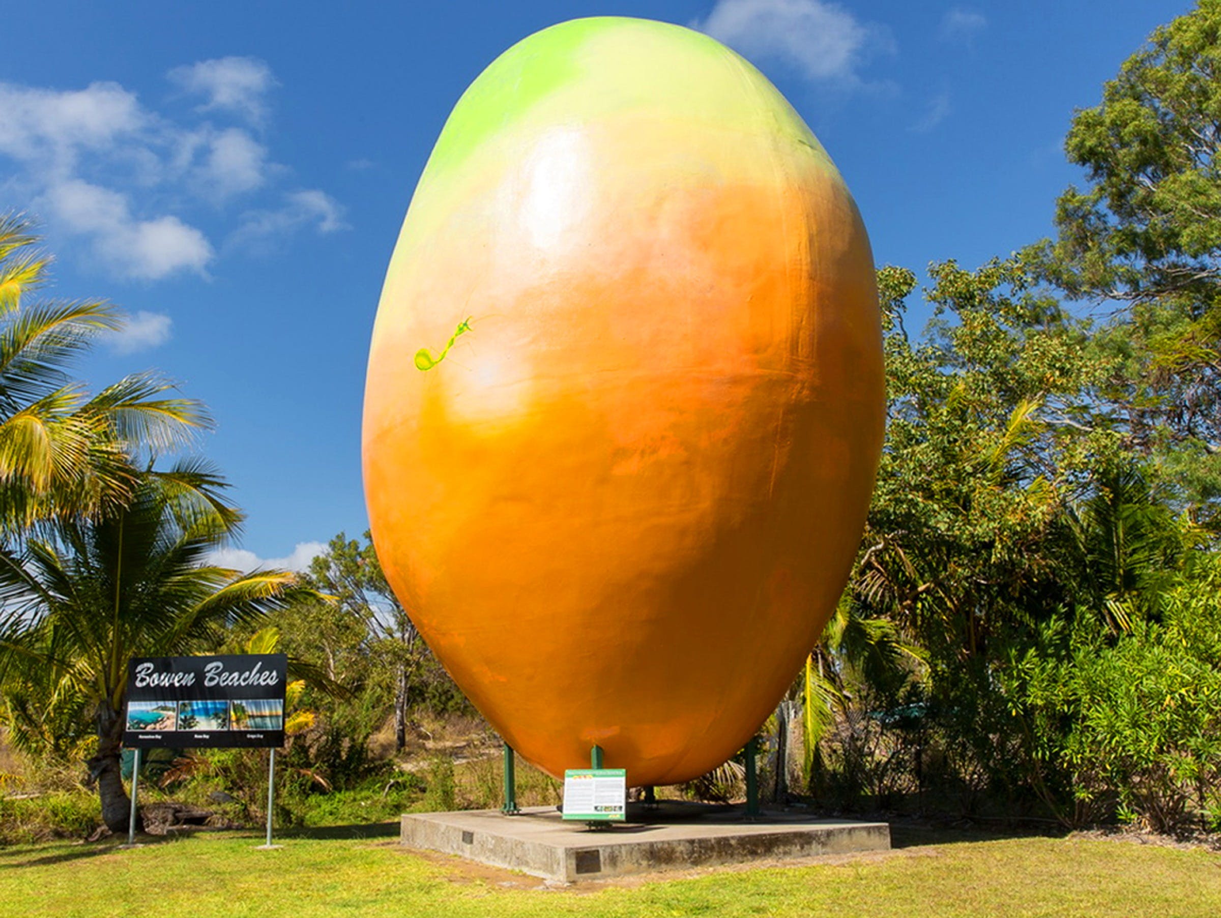 Big Mango - Accommodation in Brisbane