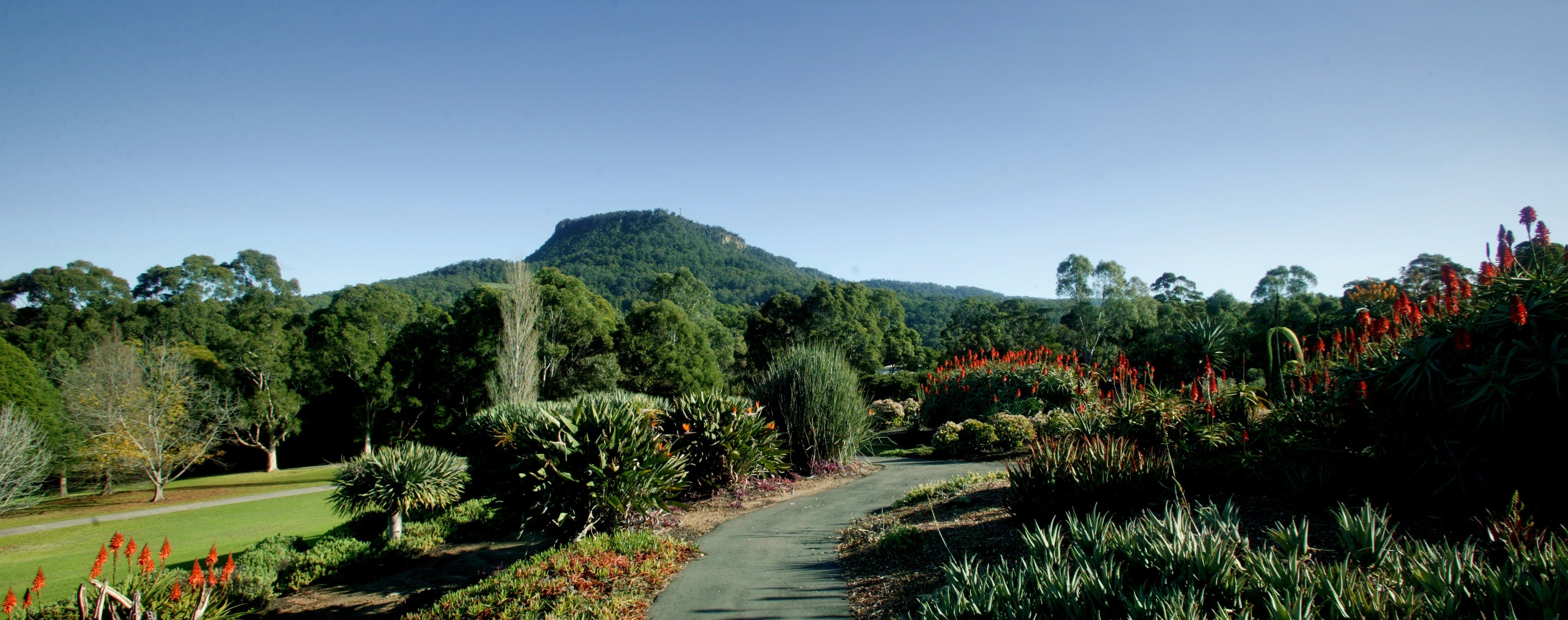 Botanic Garden, Wollongong - thumb 0