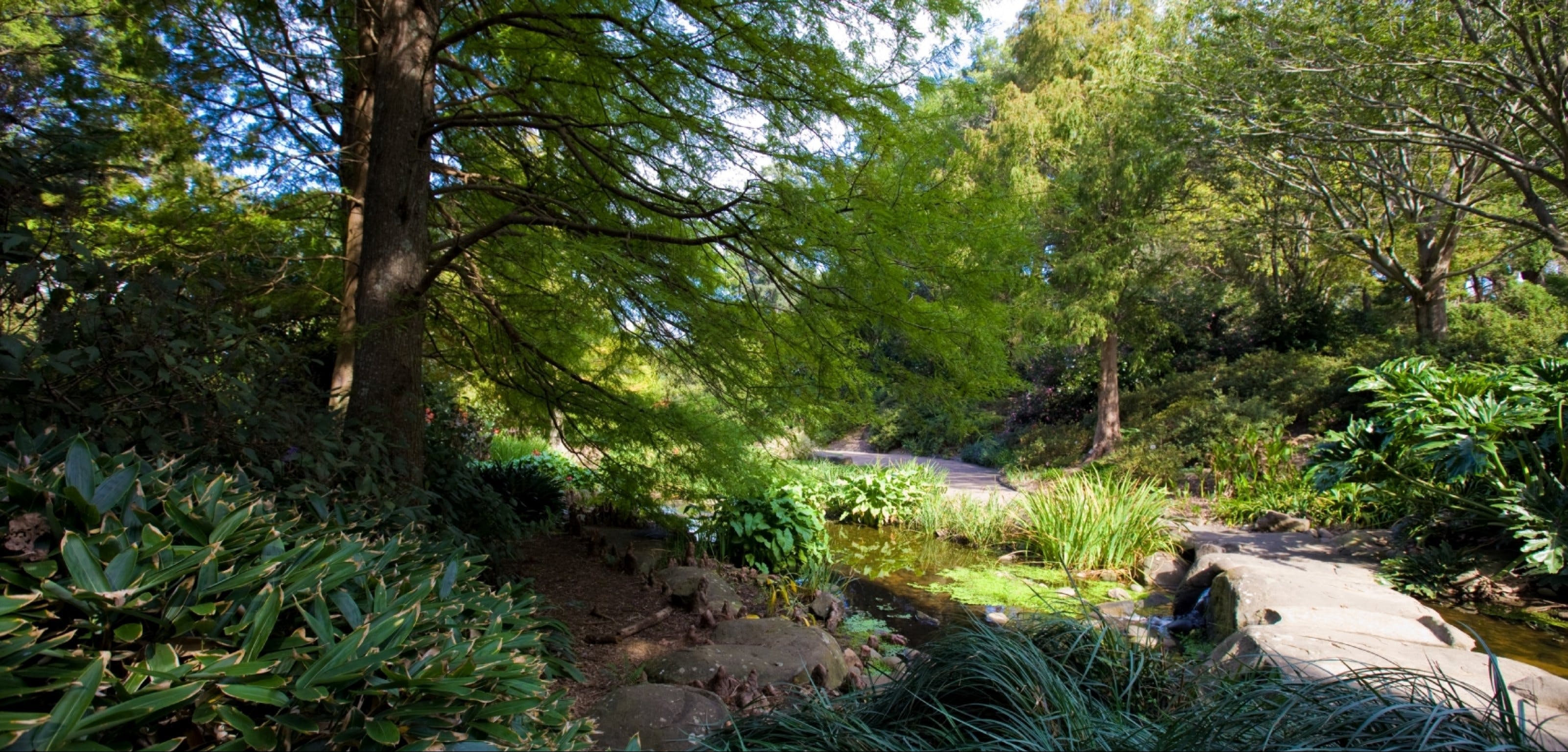 Botanic Garden, Wollongong - thumb 2