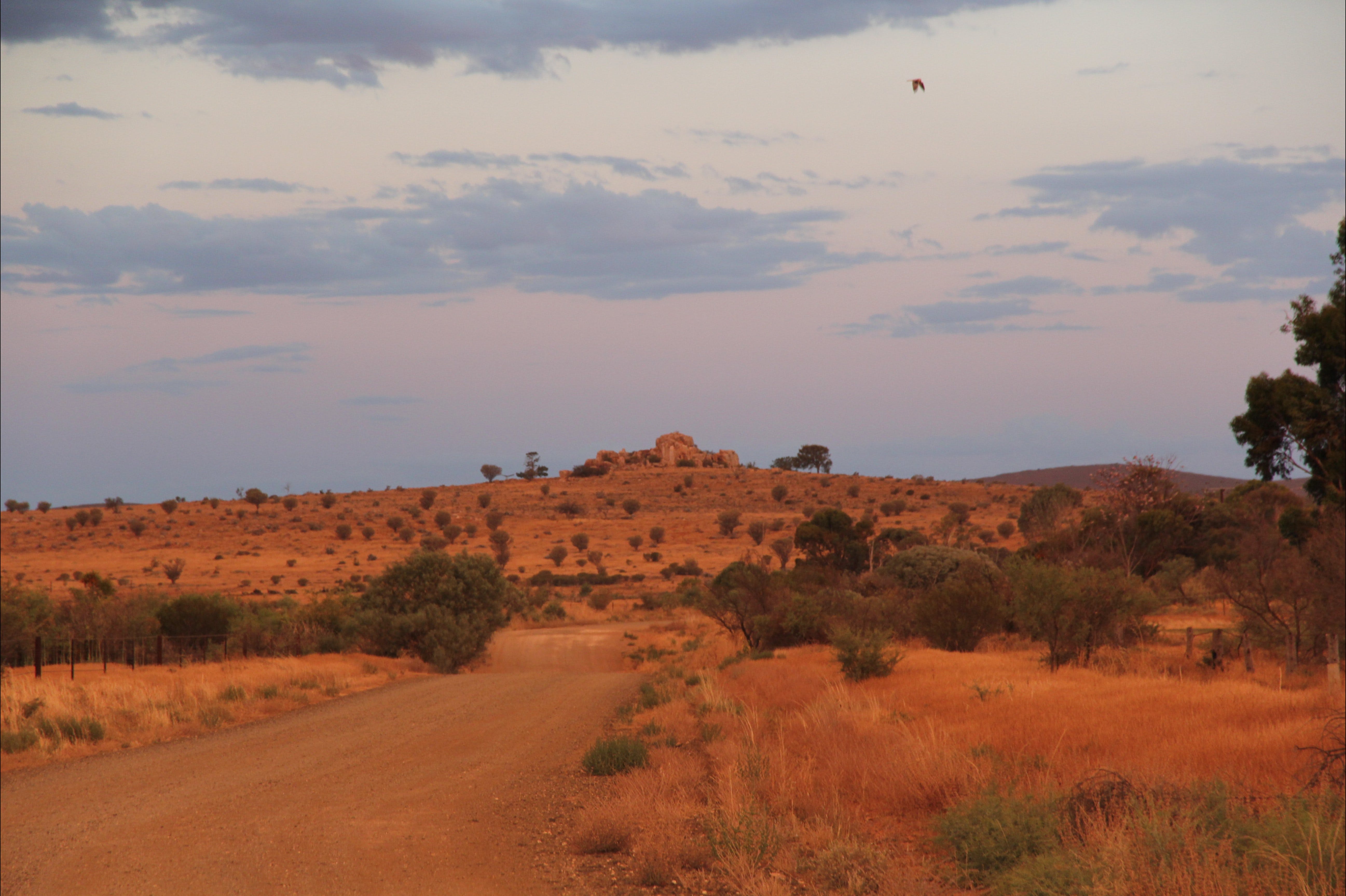 Castle Rock walk and Lookout - Carnarvon Accommodation