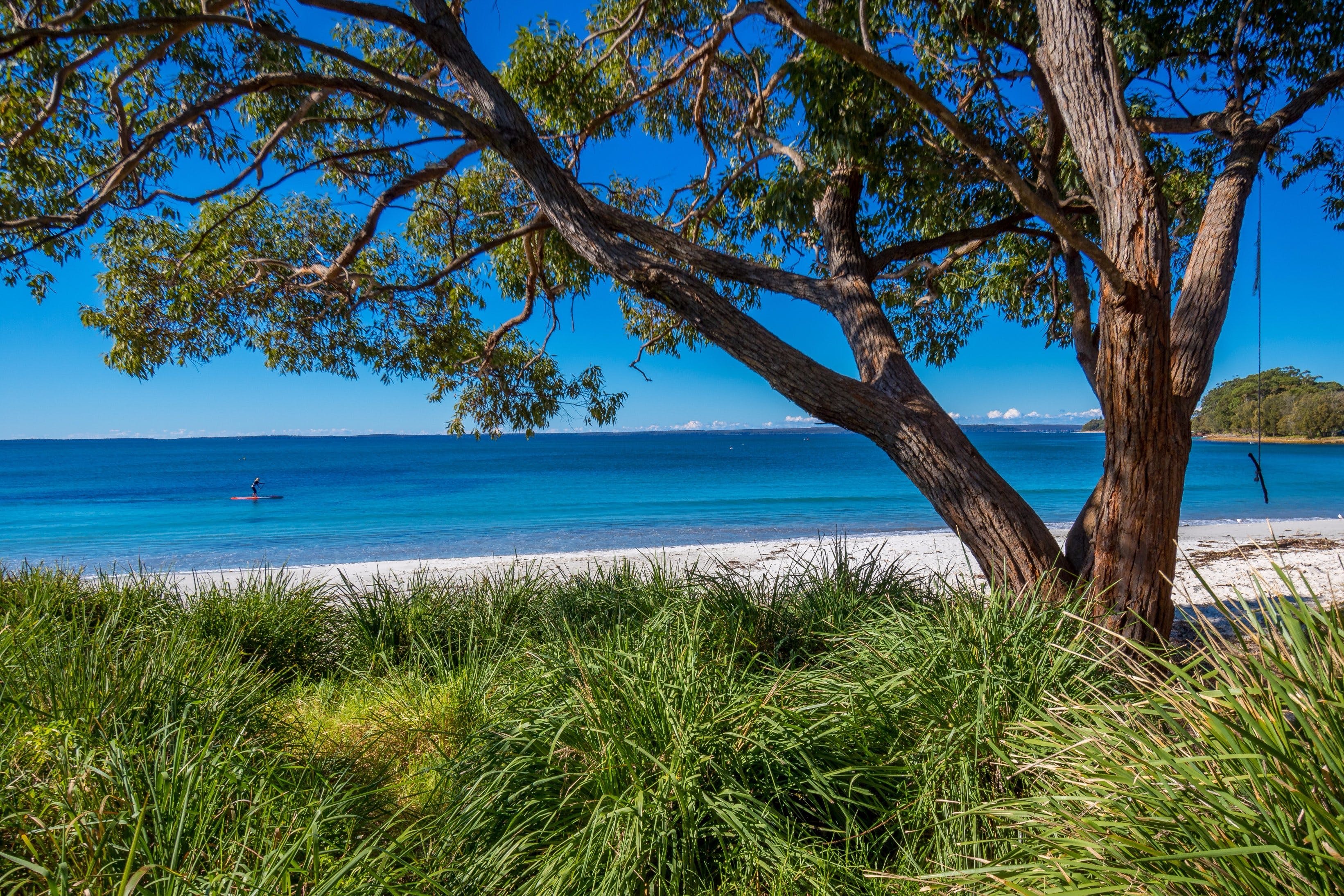 Collingwood Beach - Redcliffe Tourism