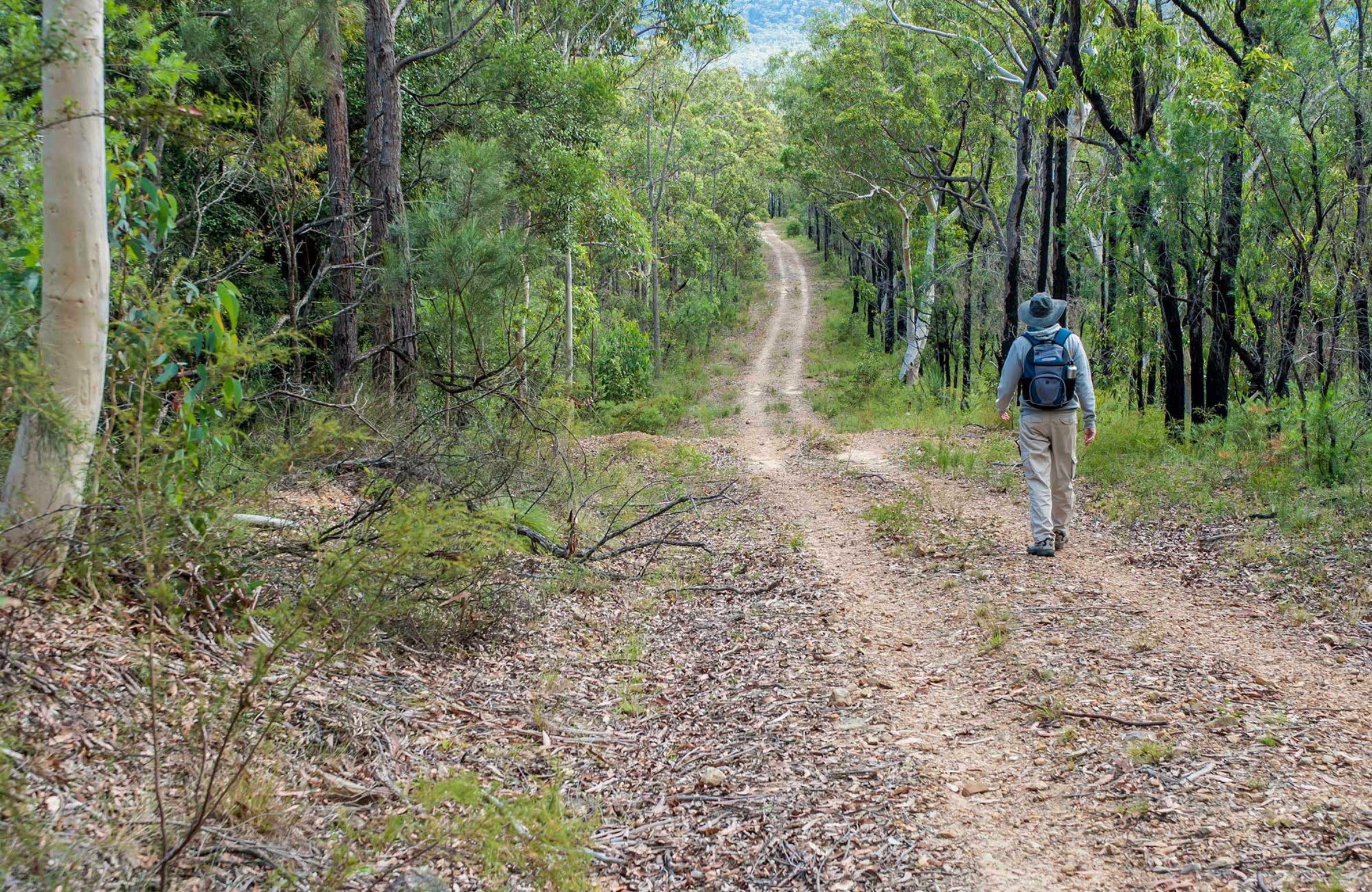 Kangaroo River Walking Track - thumb 0