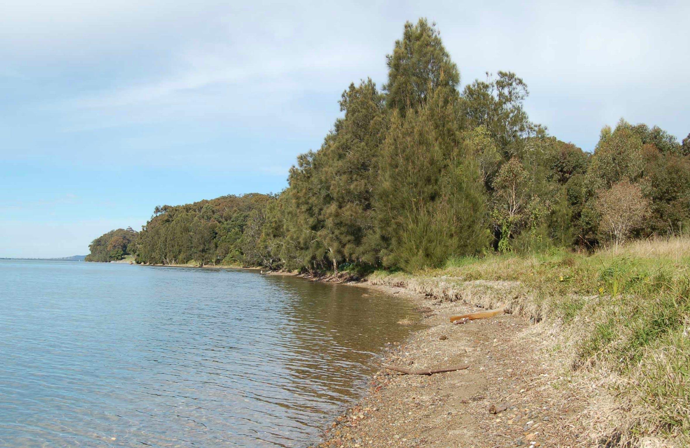 Lake Macquarie State Conservation Area - Accommodation Brunswick Heads