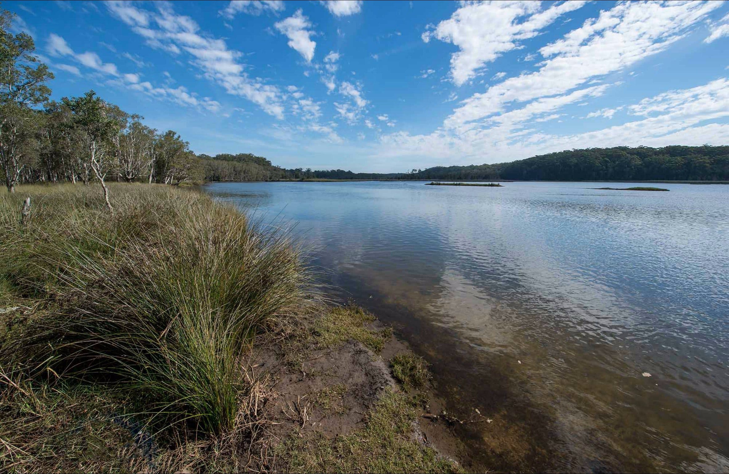 Lake Innes Nature Reserve - Accommodation Brunswick Heads
