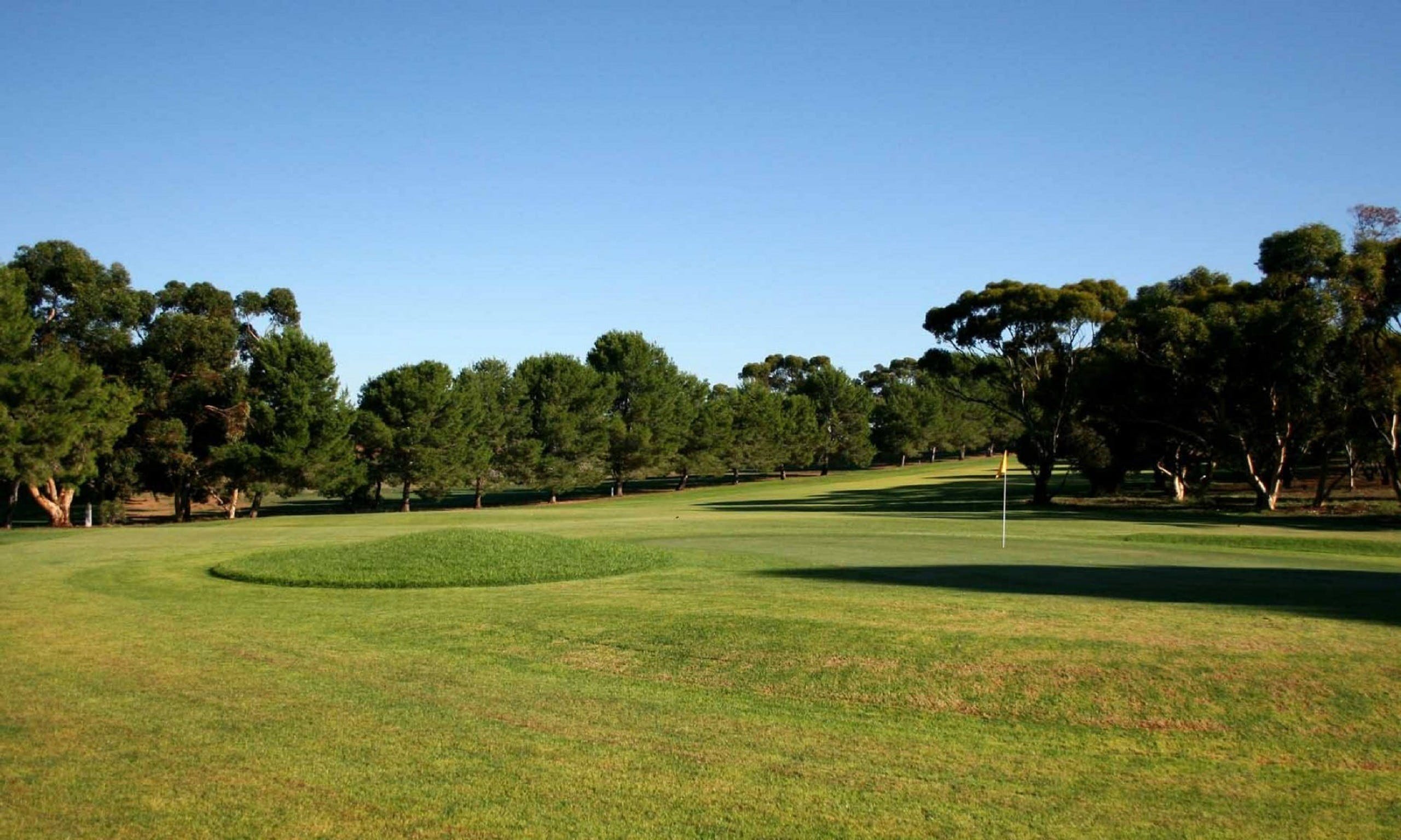 Mannum Golf Club - Redcliffe Tourism