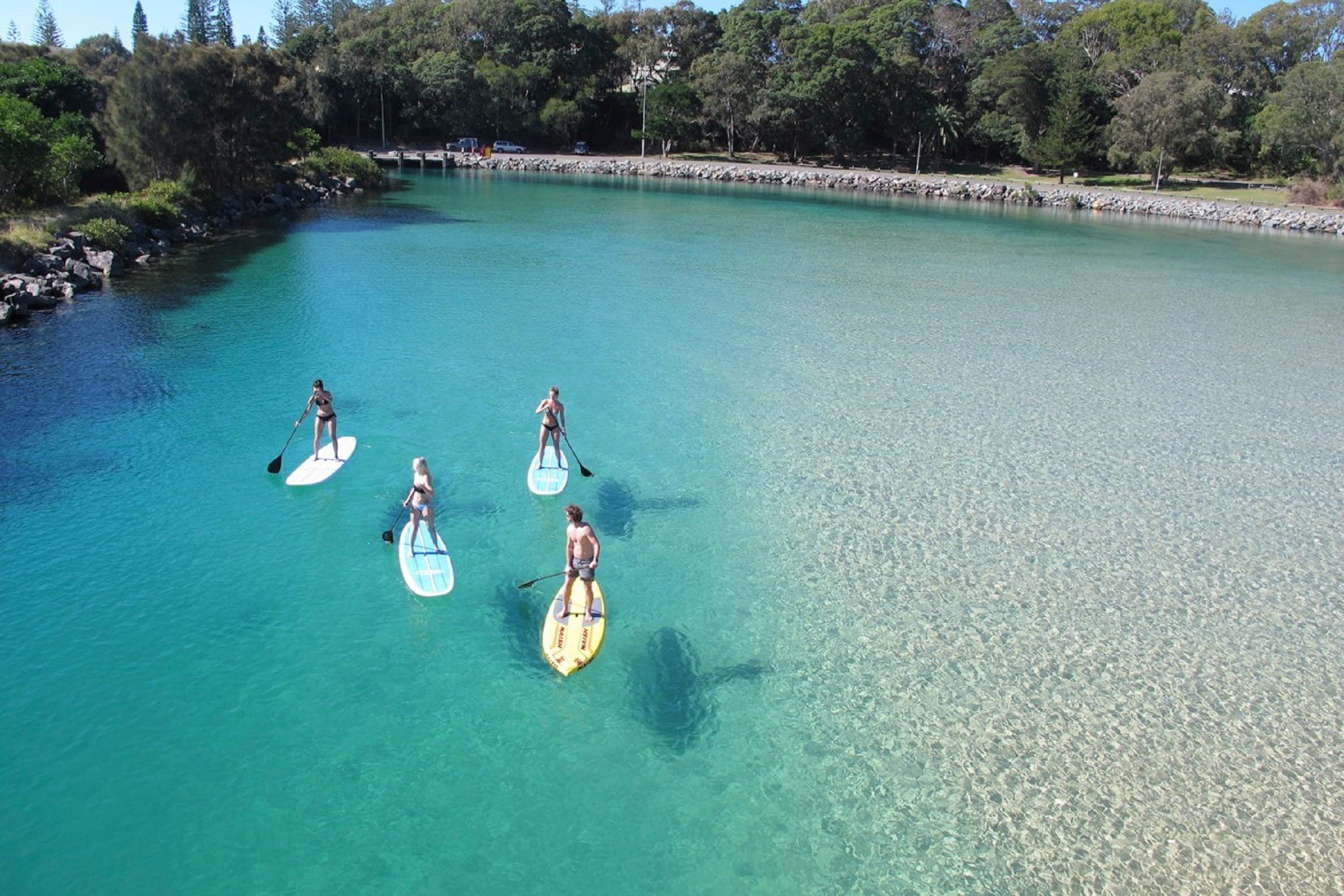 Paddleboard at Back Creek South West Rocks - Tourism Cairns