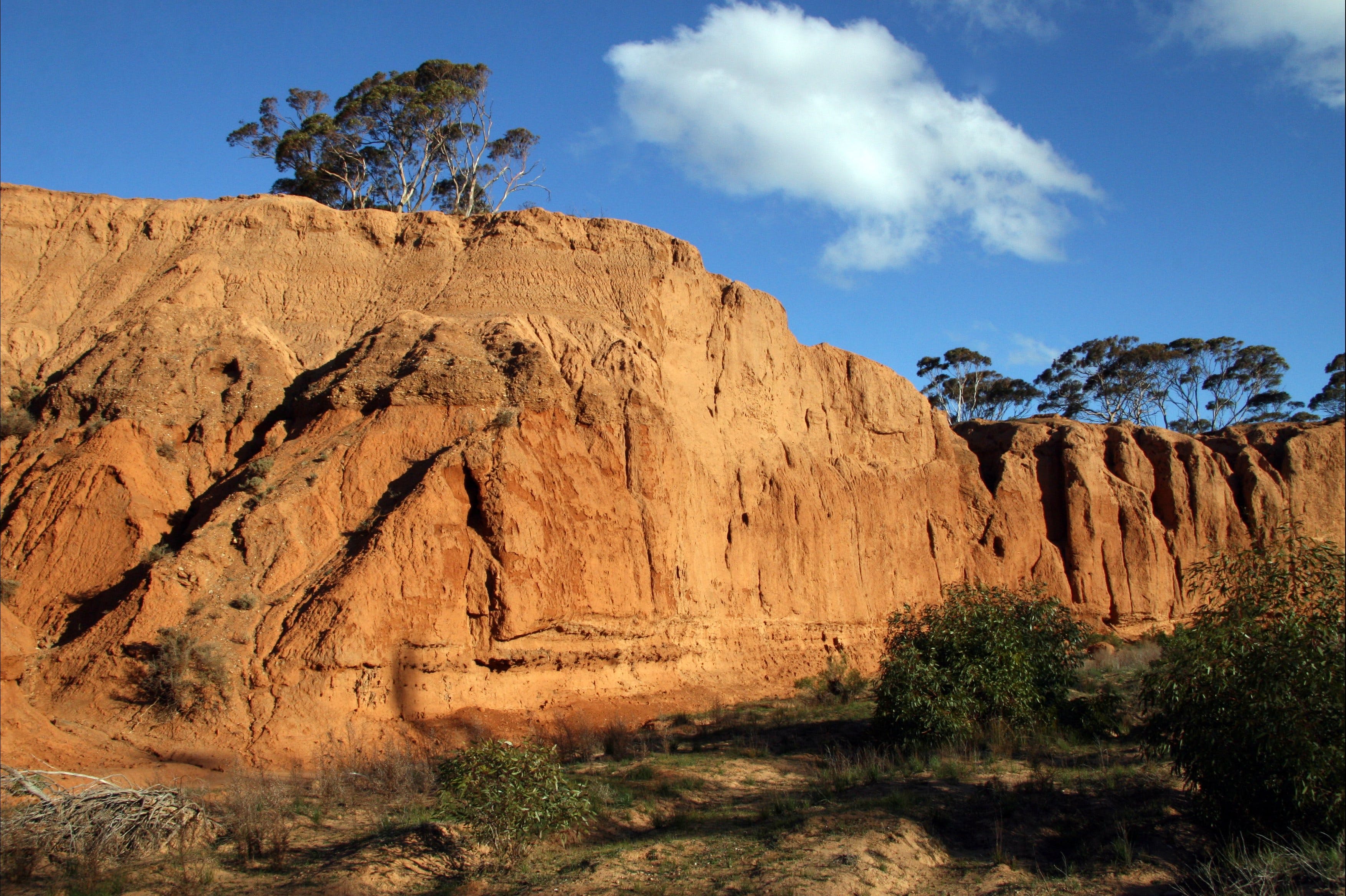 Red Banks Conservation Park - Find Attractions