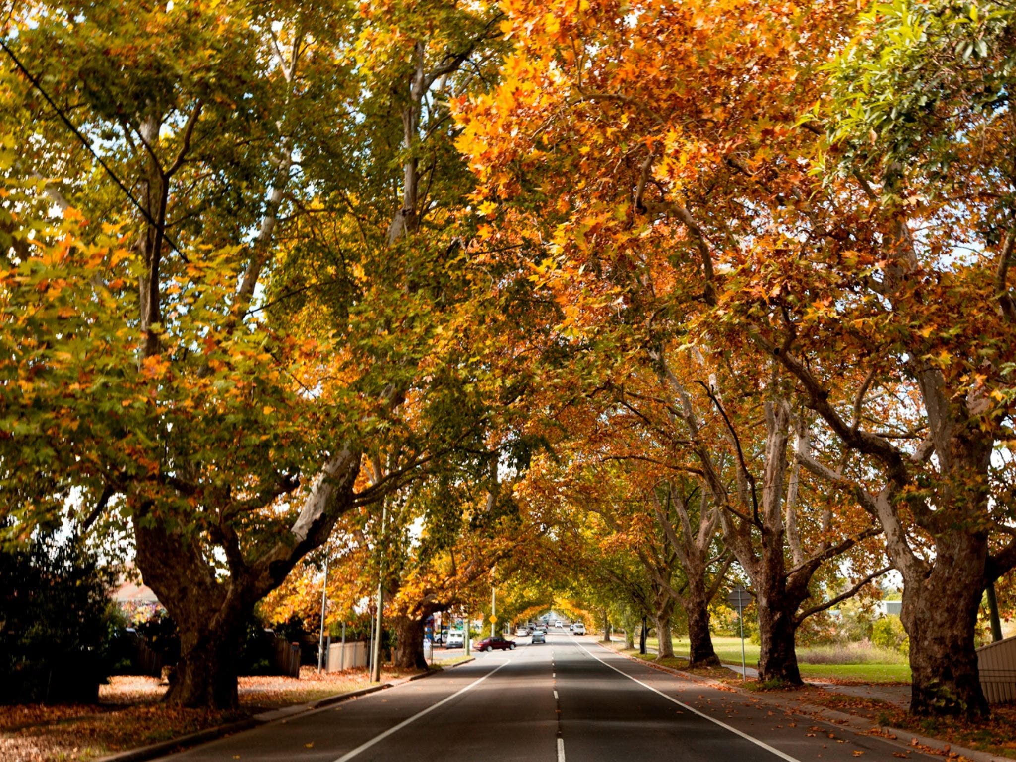 Richmond - Tourism Canberra