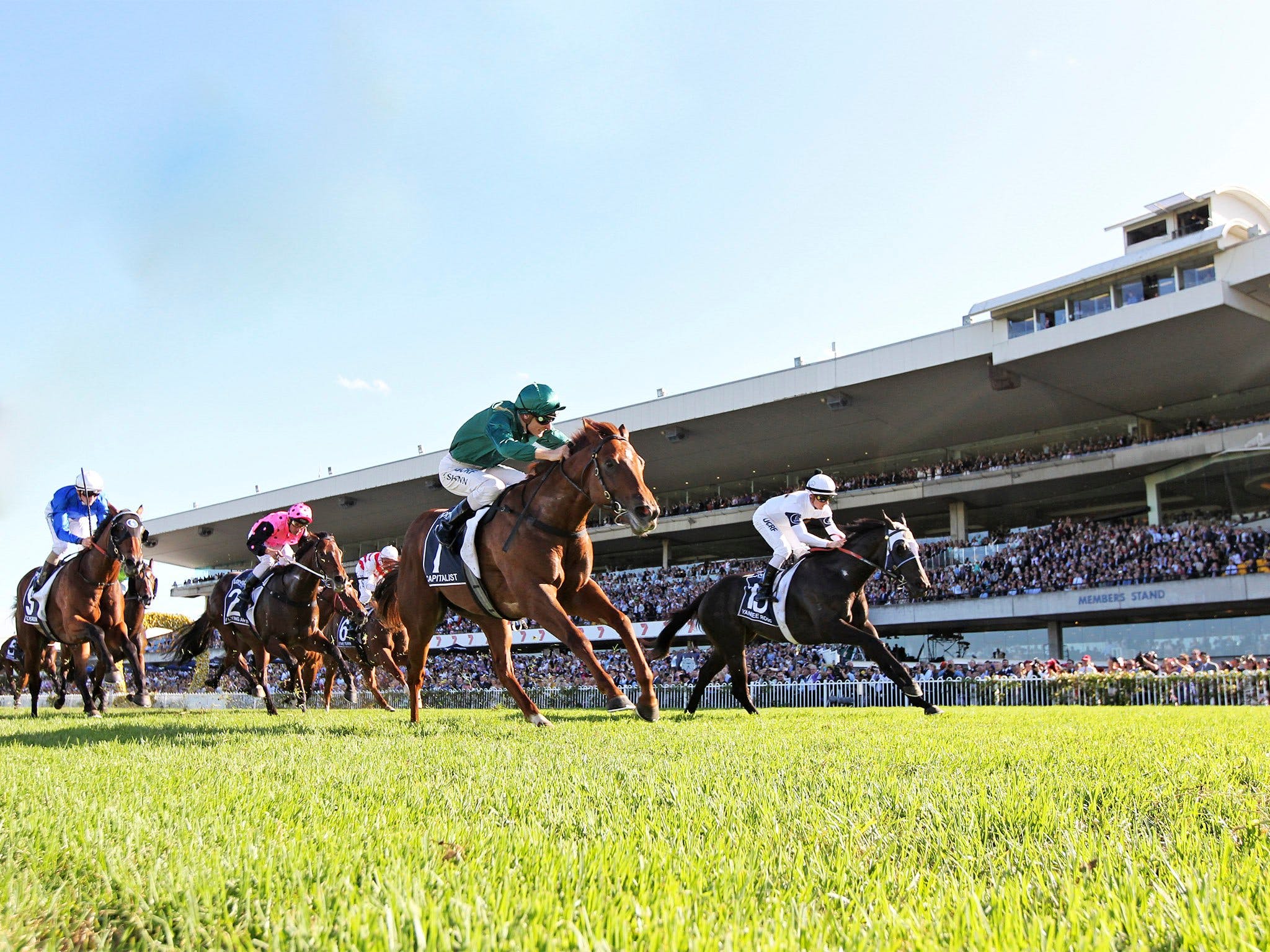 Rosehill Gardens Racecourse - Find Attractions
