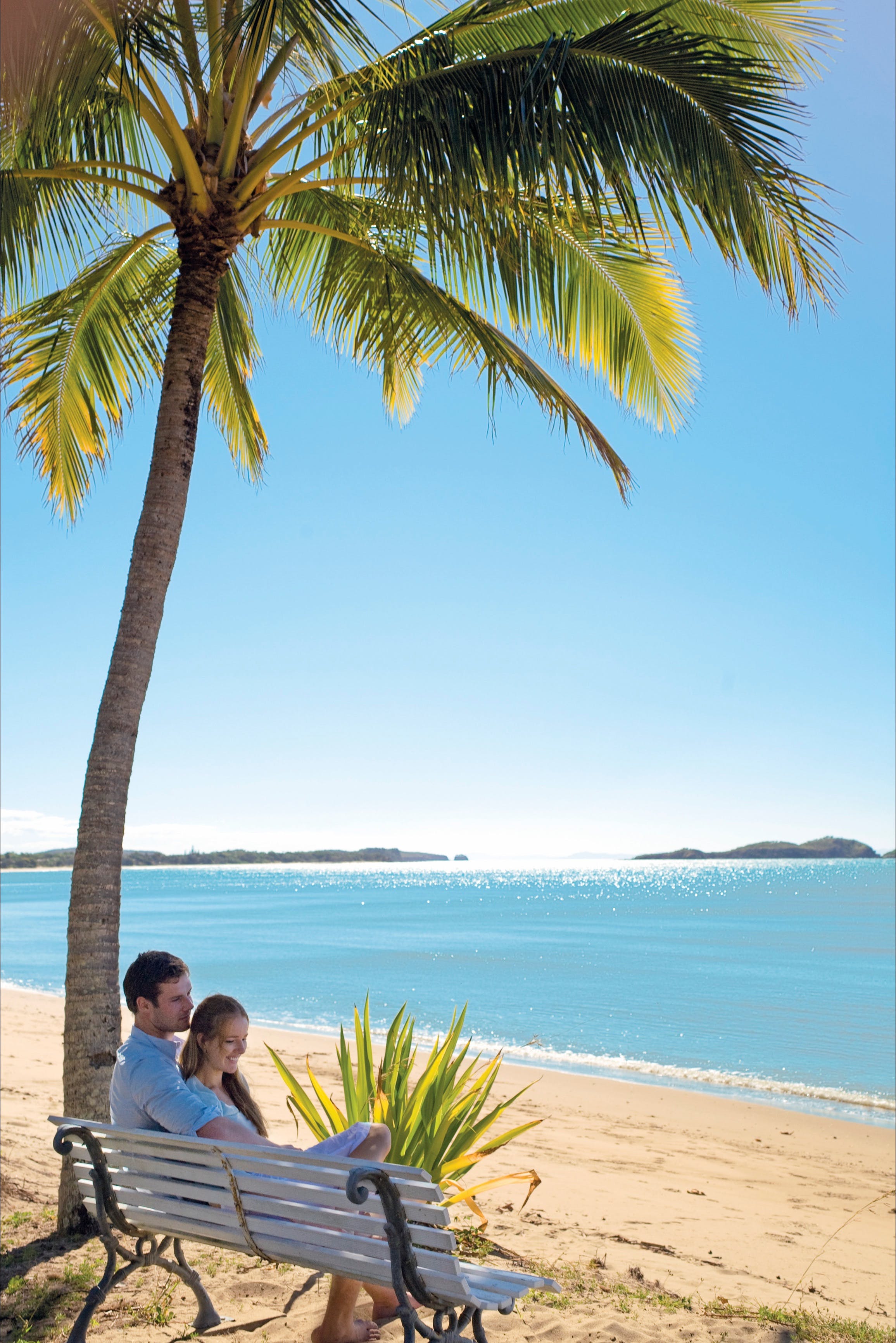 Seaforth - Accommodation Airlie Beach