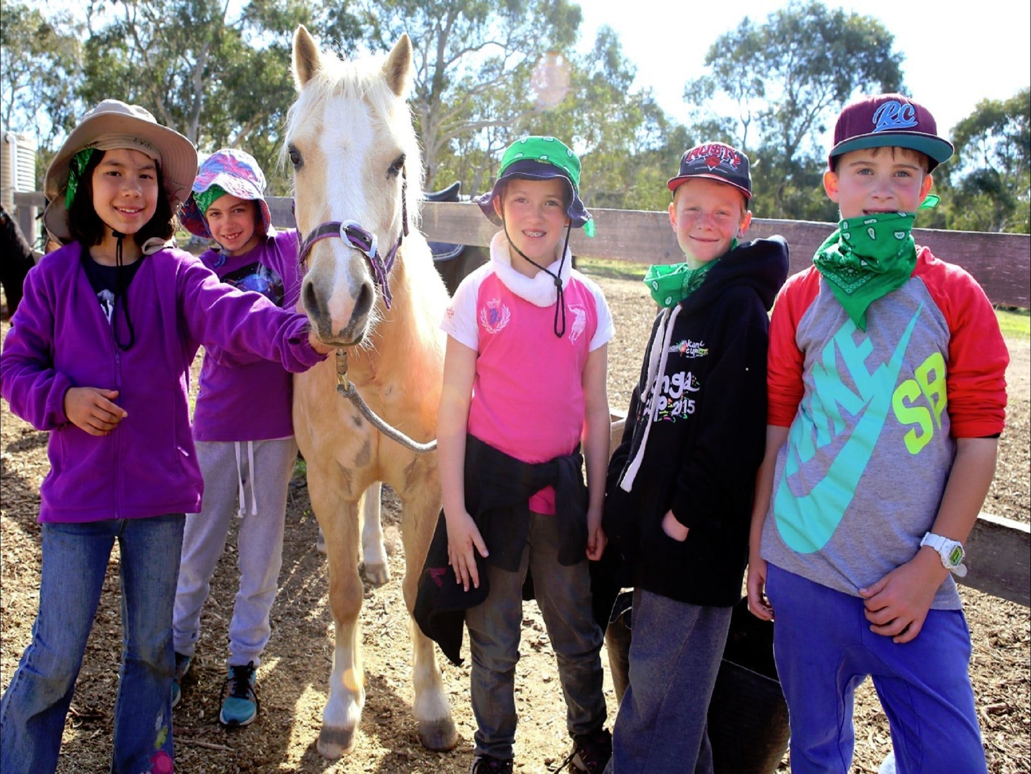 The Saddle Camp - Tourism Adelaide