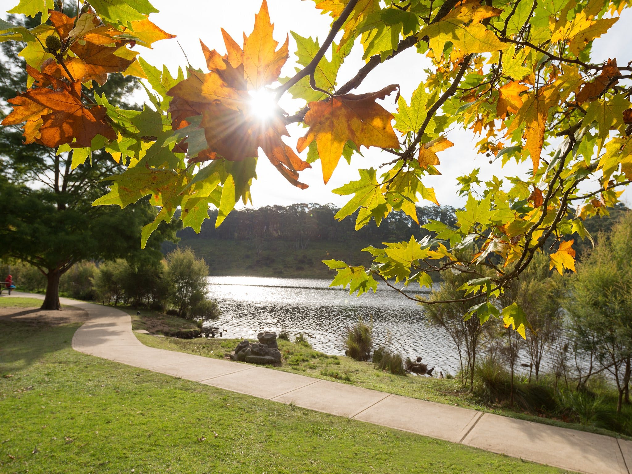 Wentworth Falls Lake - Accommodation in Surfers Paradise