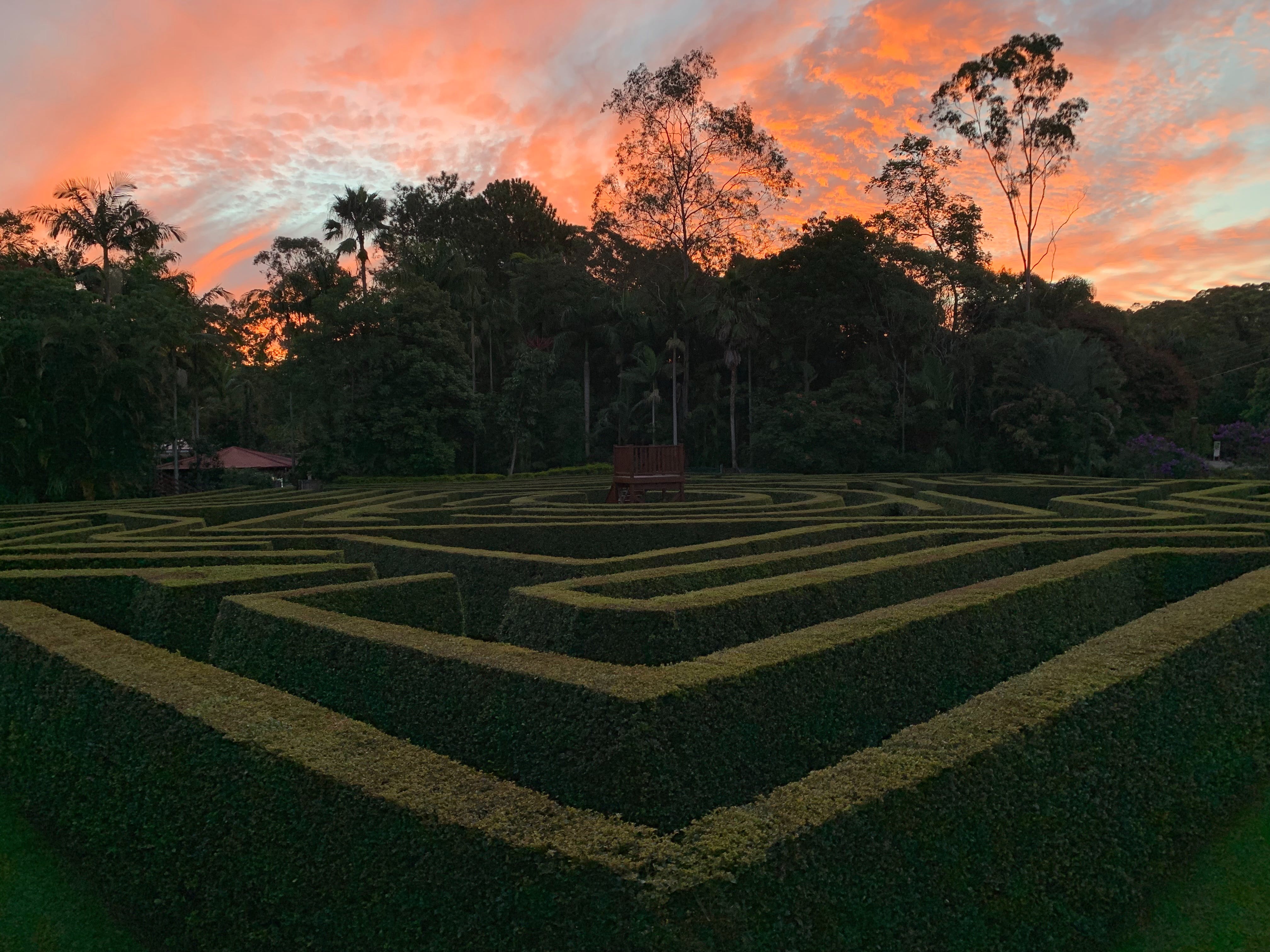 Bellingham Maze - Accommodation in Brisbane