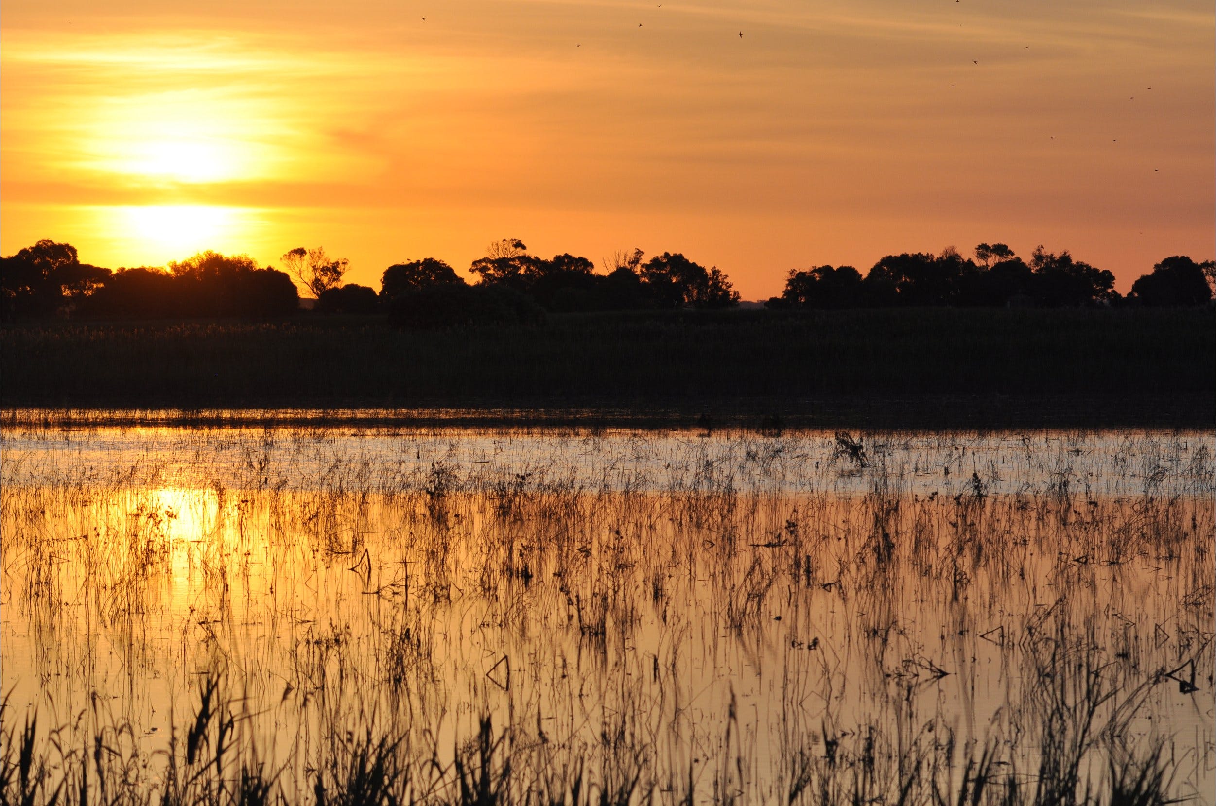 Bool Lagoon Game Reserve and Hacks Lagoon Conservation Park - Accommodation Directory