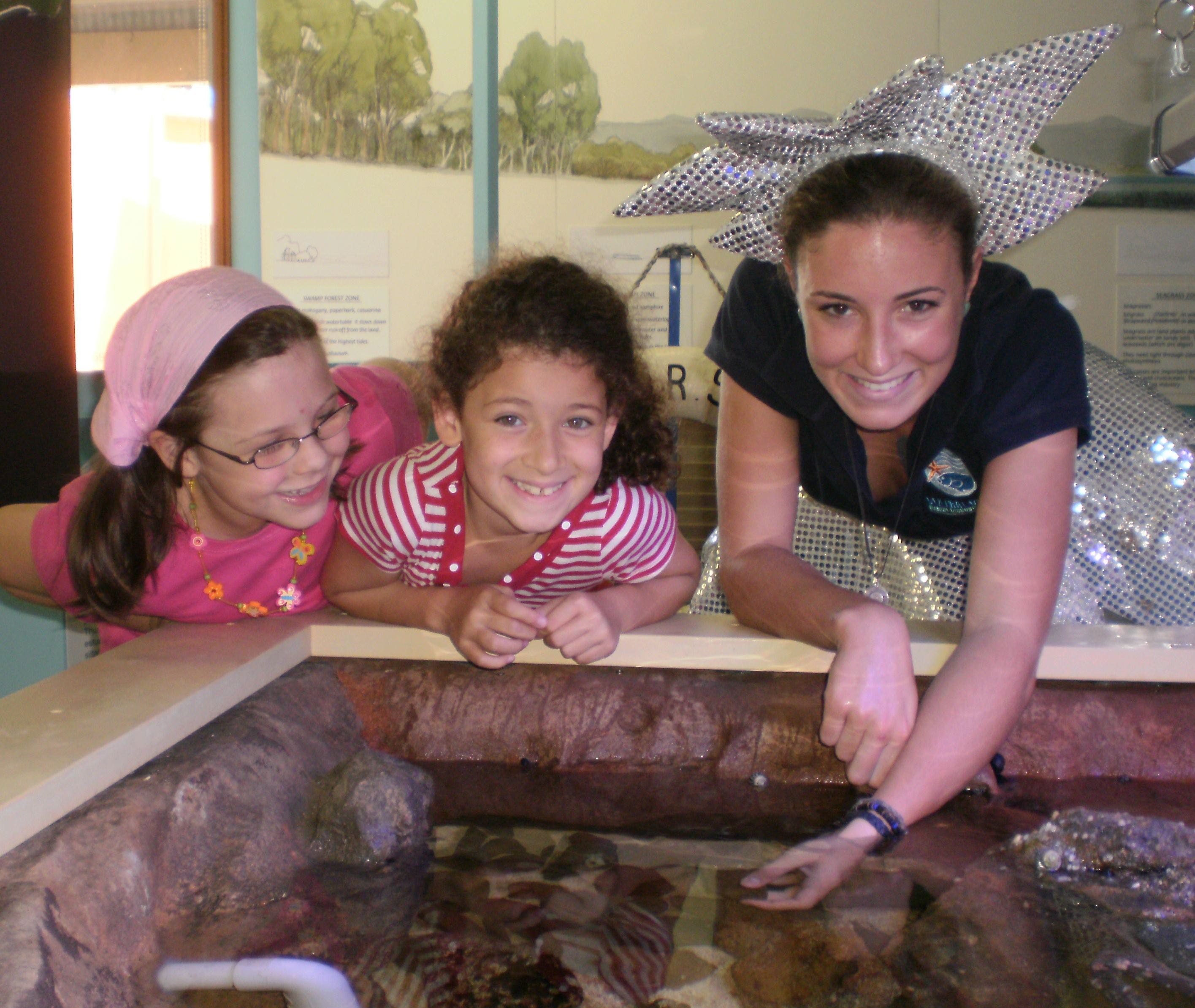 Central Coast Marine Discovery Centre - Attractions