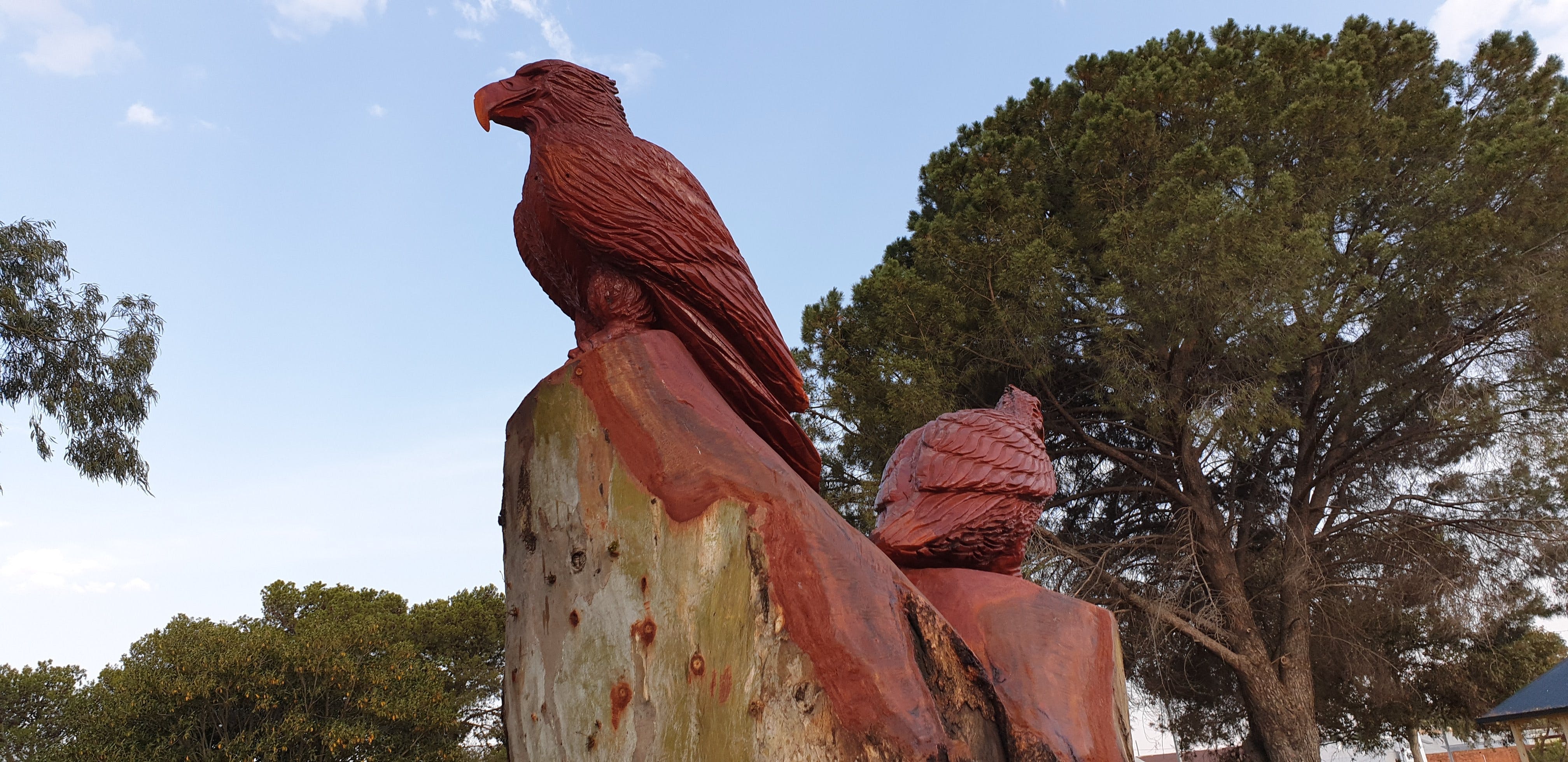 Chainsaw Tree Sculpture - Wagga Wagga Accommodation