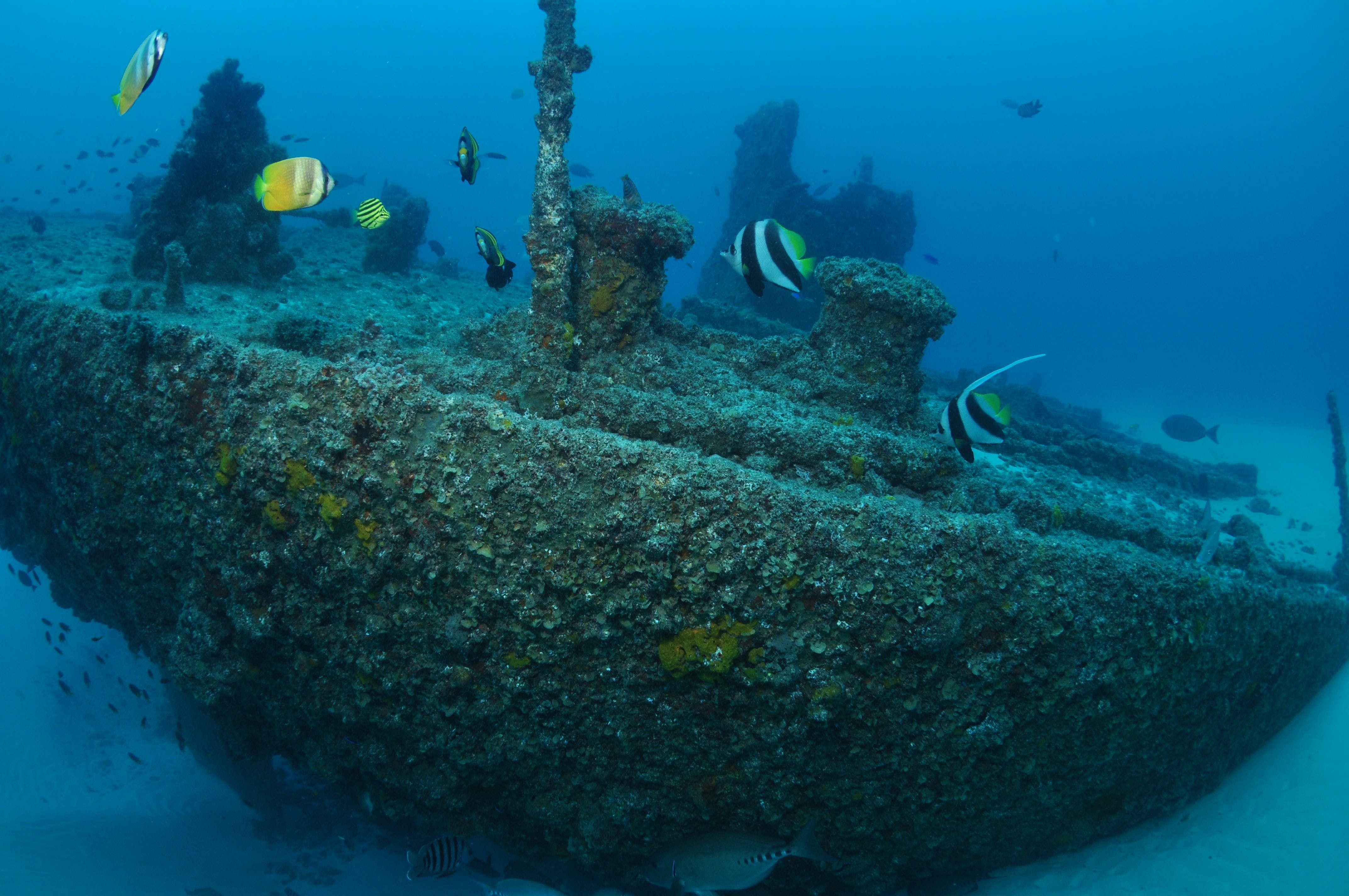 Curtin Artificial Reef Dive Site - thumb 1