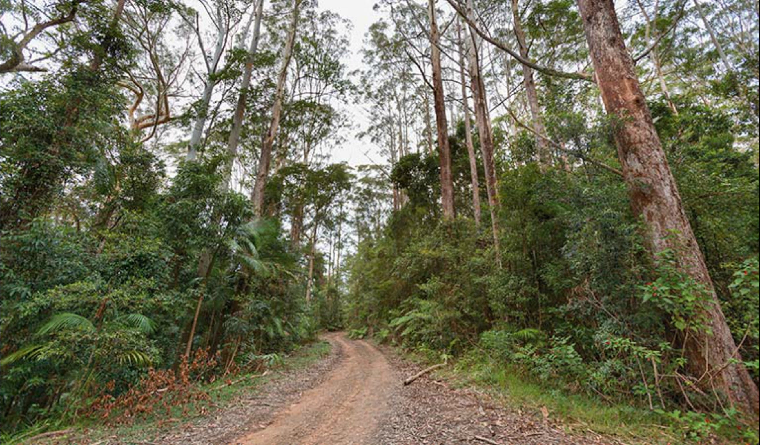 End Peak walking track - Accommodation Redcliffe