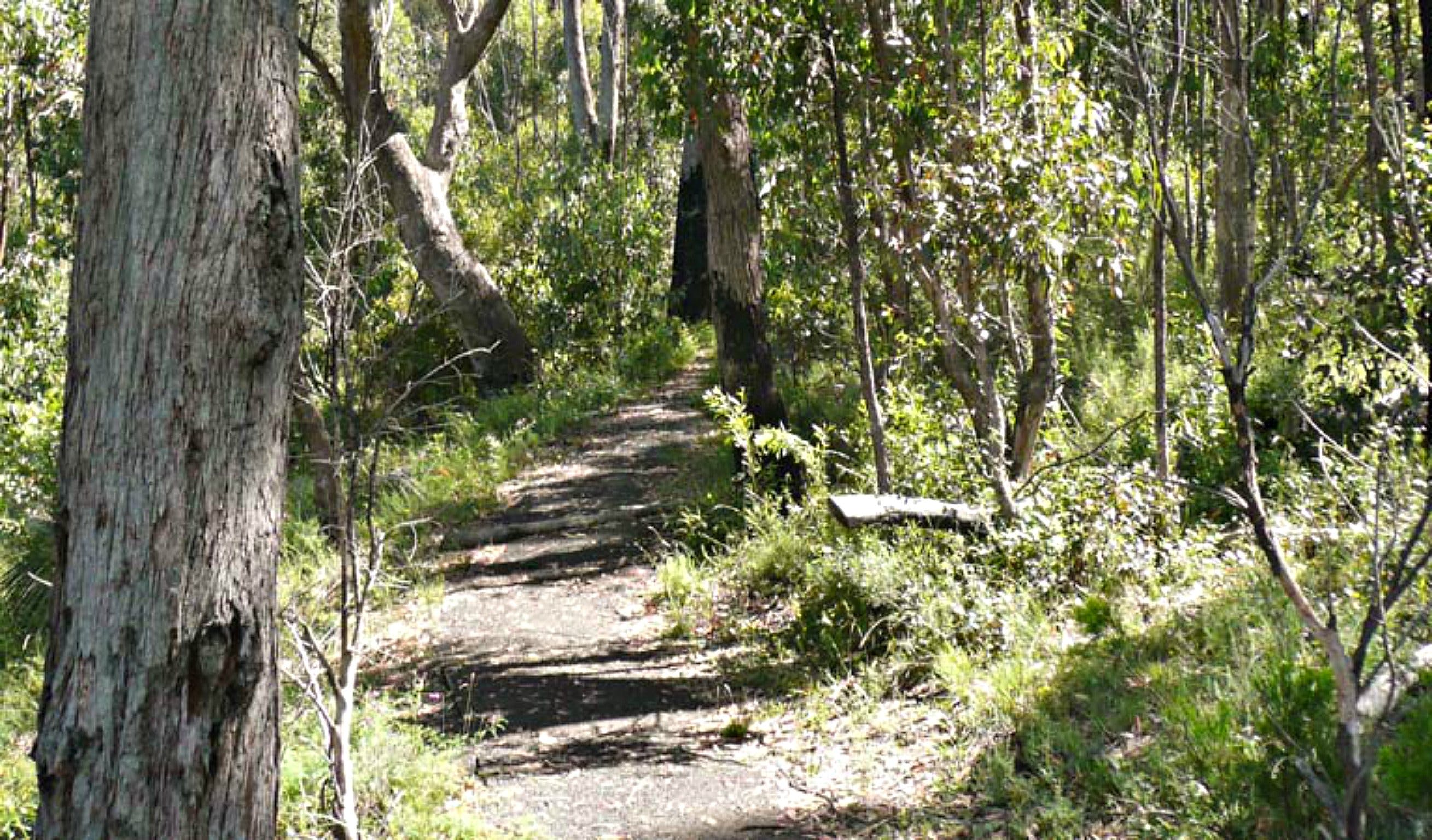 Euglah Rock Walking Track - Find Attractions