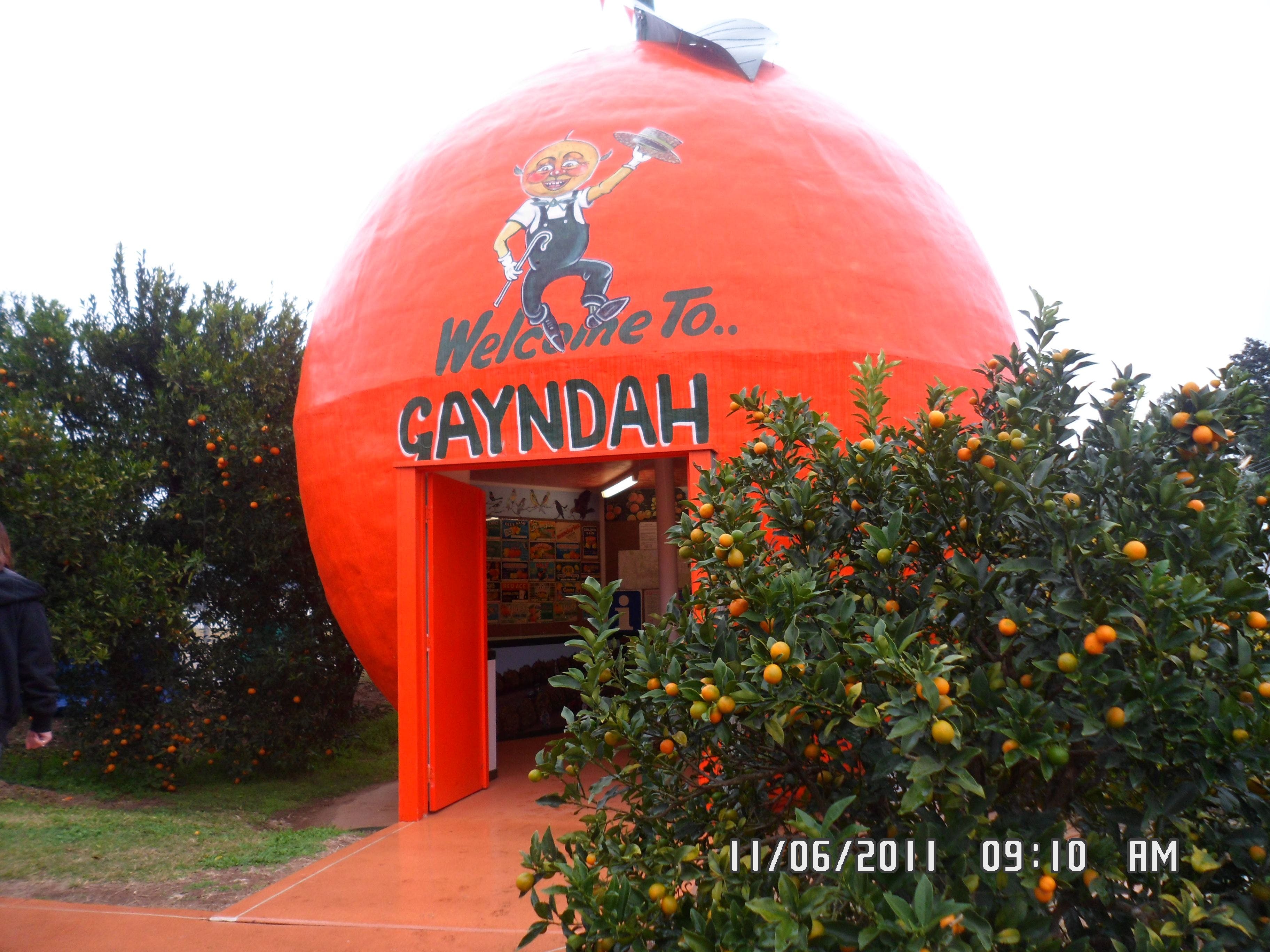 Gayndah's Big Orange - thumb 2