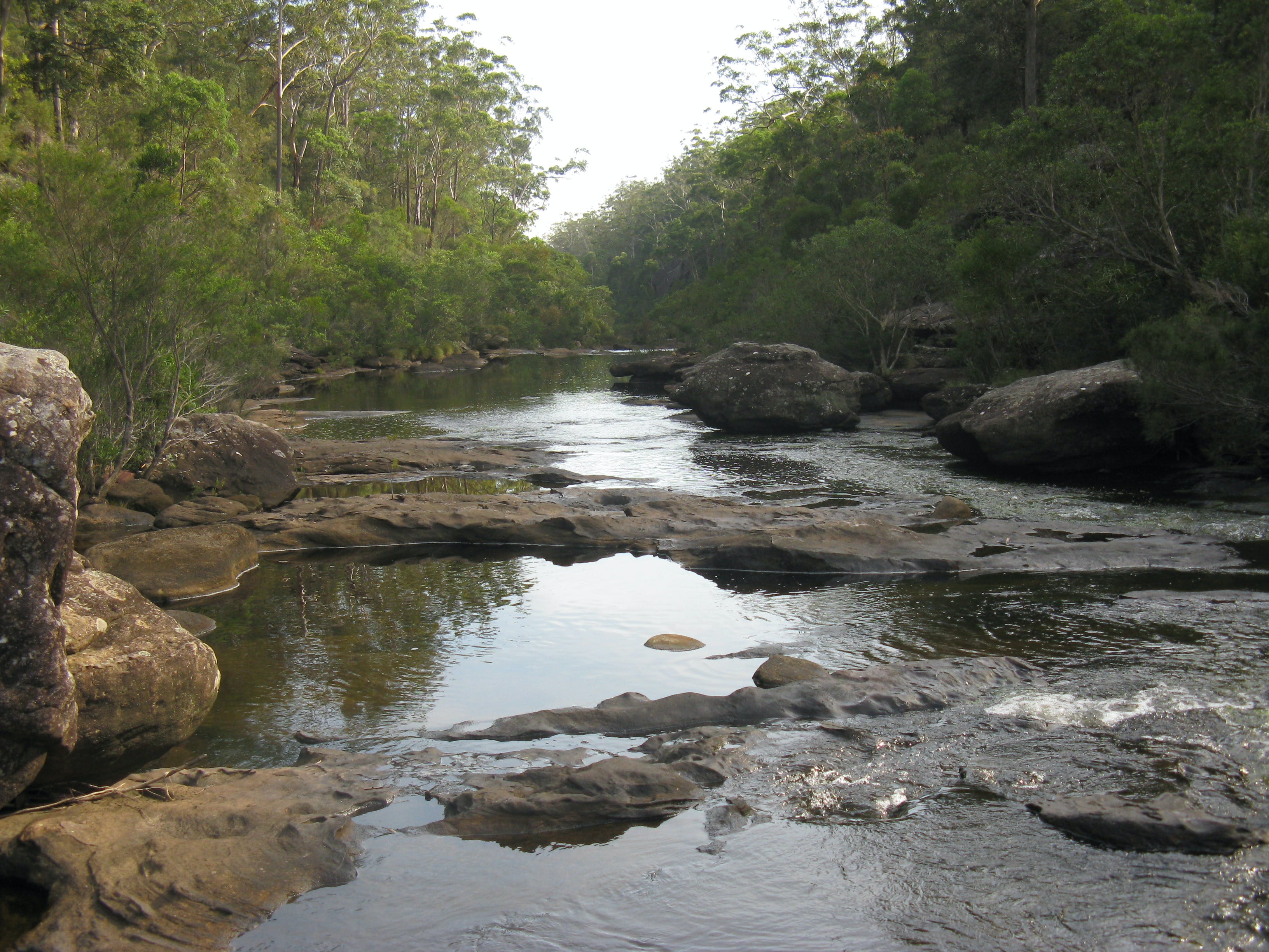 Georges River Nature Reserve - thumb 2