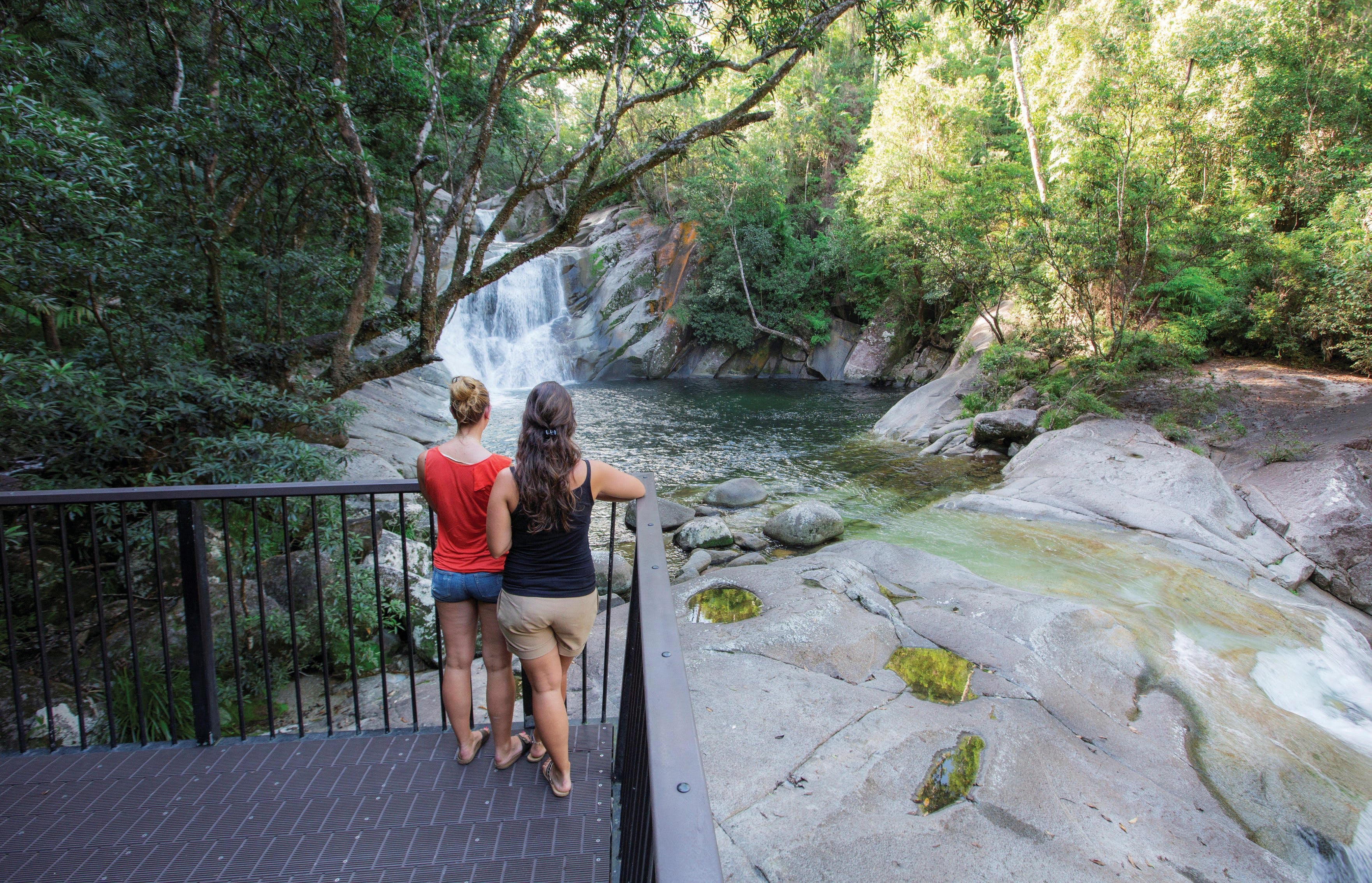 Josephine Falls walking track Wooroonooran National Park - Find Attractions
