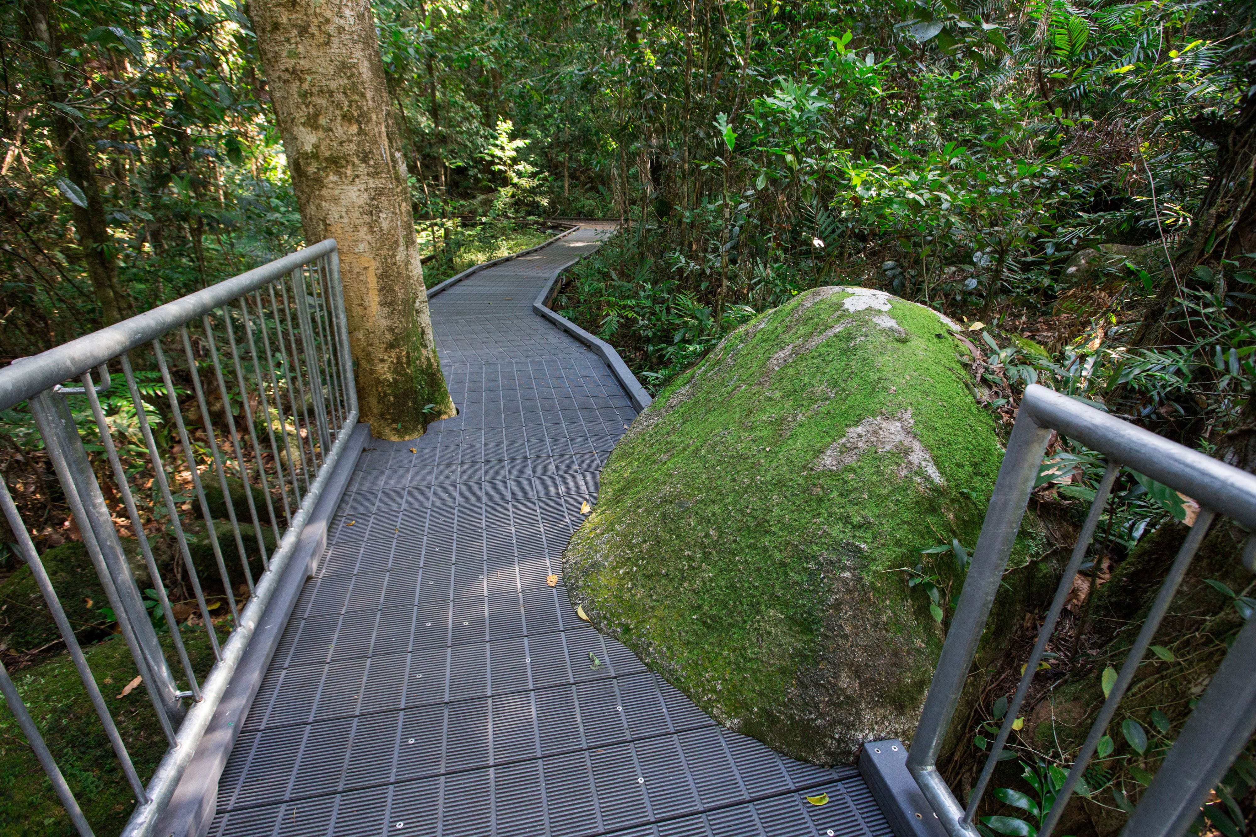 Josephine Falls Walking Track, Wooroonooran National Park - thumb 2