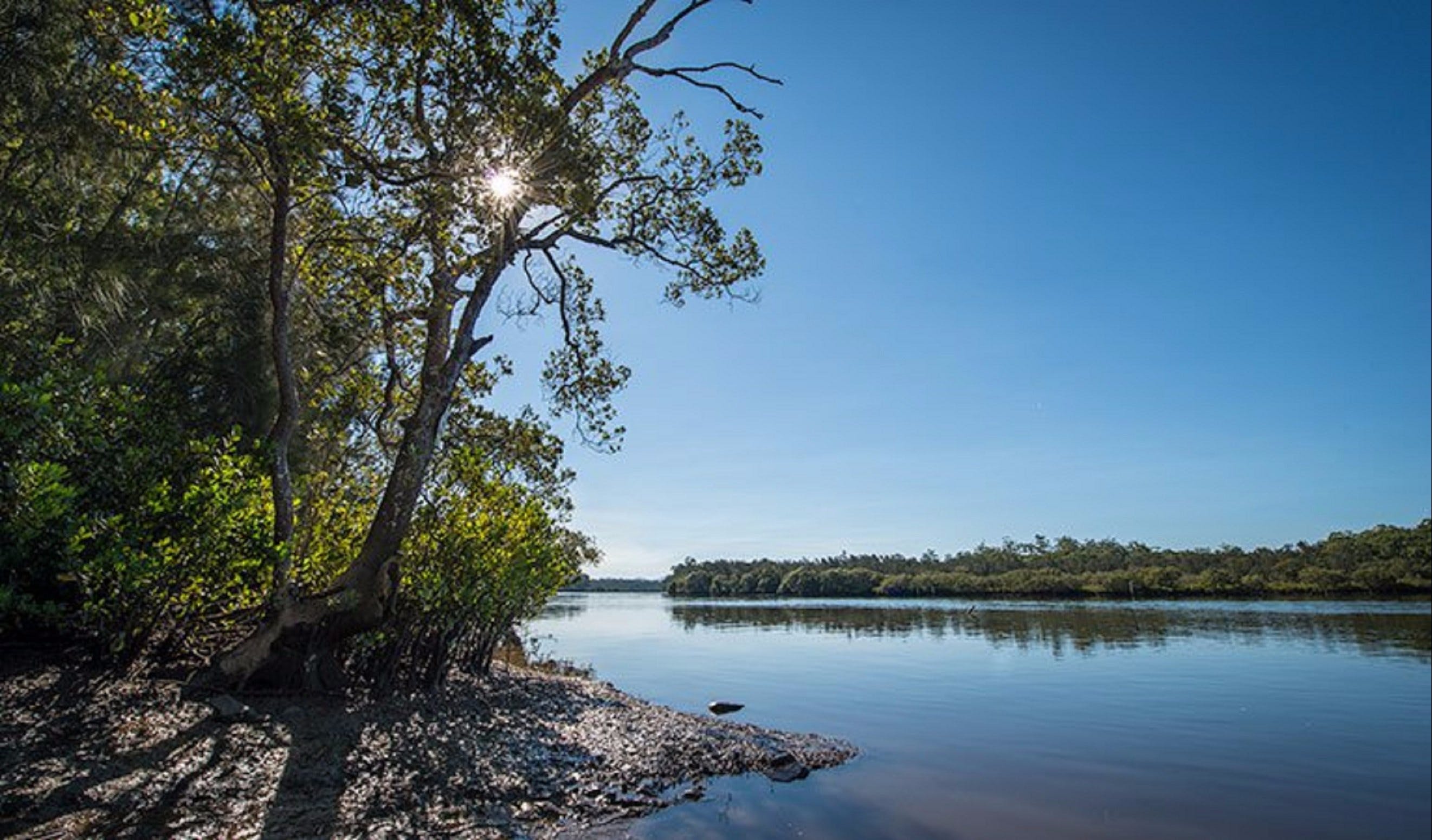 Karuah River National Park and Nature Reserve - Accommodation in Bendigo