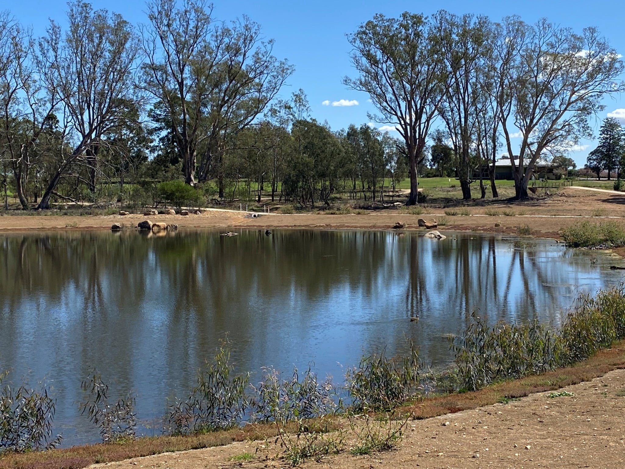 Lake King Wetlands at Rutherglen - Find Attractions