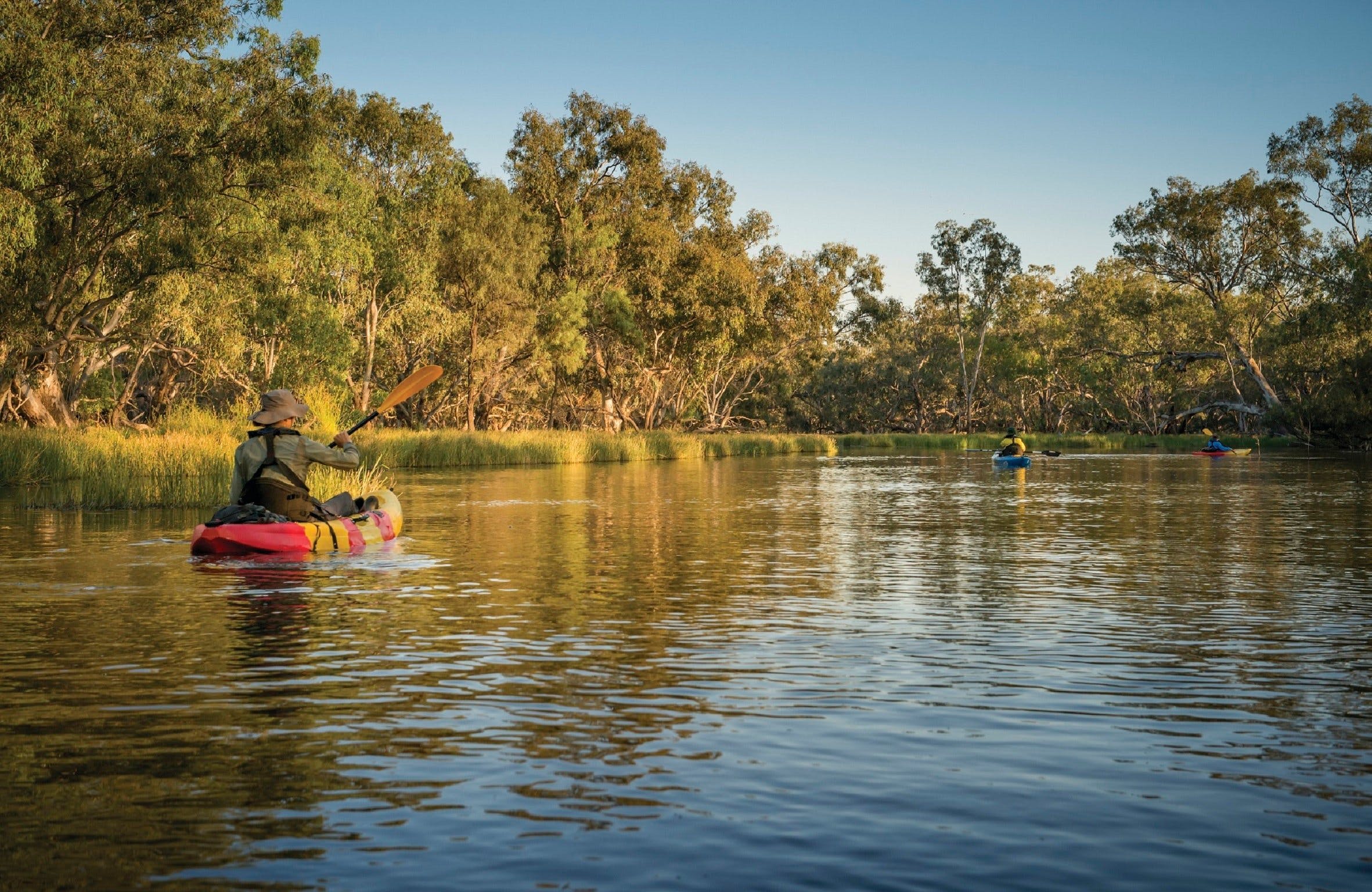 Macquarie Marshes Nature Reserve - Find Attractions